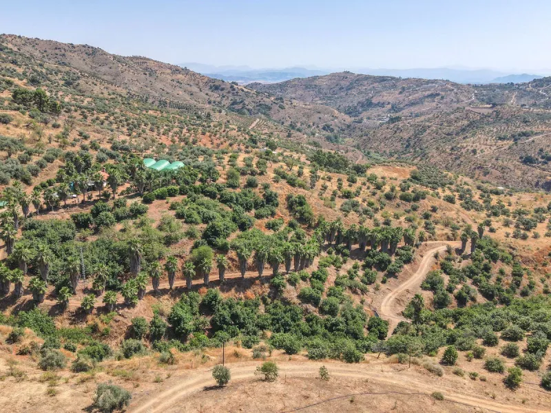 Avocado & Dragon Fruit Farm – Your Own Mountain Retreat