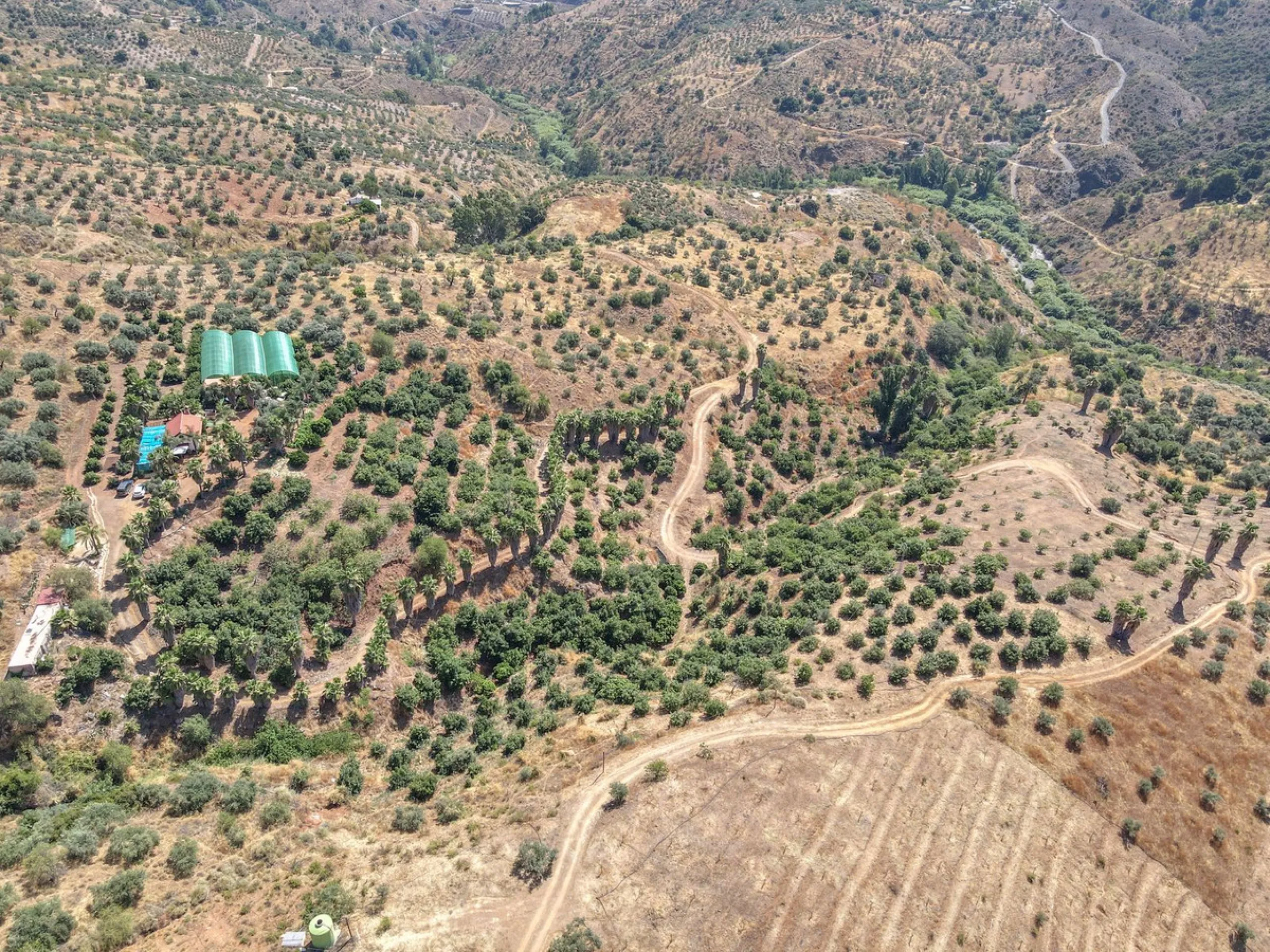 Avocado & Dragon Fruit Farm – Your Own Mountain Retreat