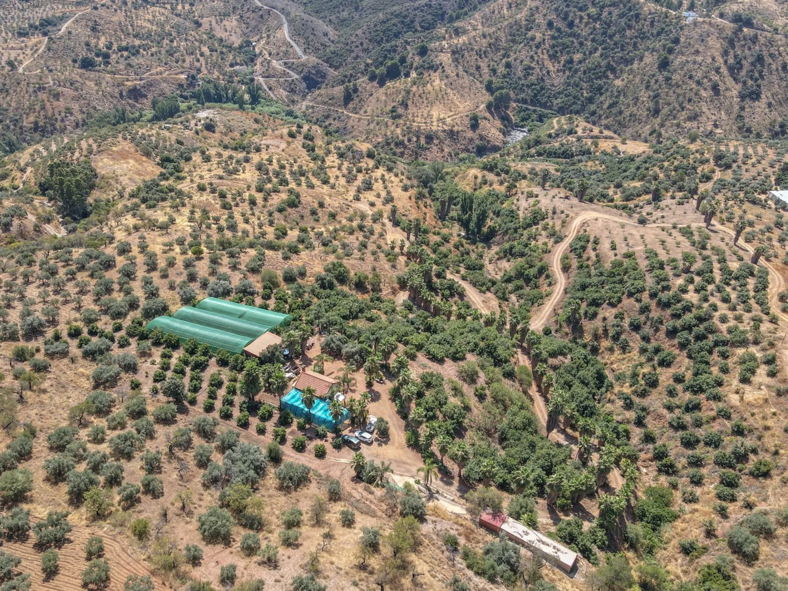 Avocado & Dragon Fruit Farm – Your Own Mountain Retreat