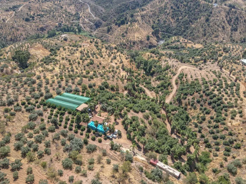 Avocado & Dragon Fruit Farm – Your Own Mountain Retreat