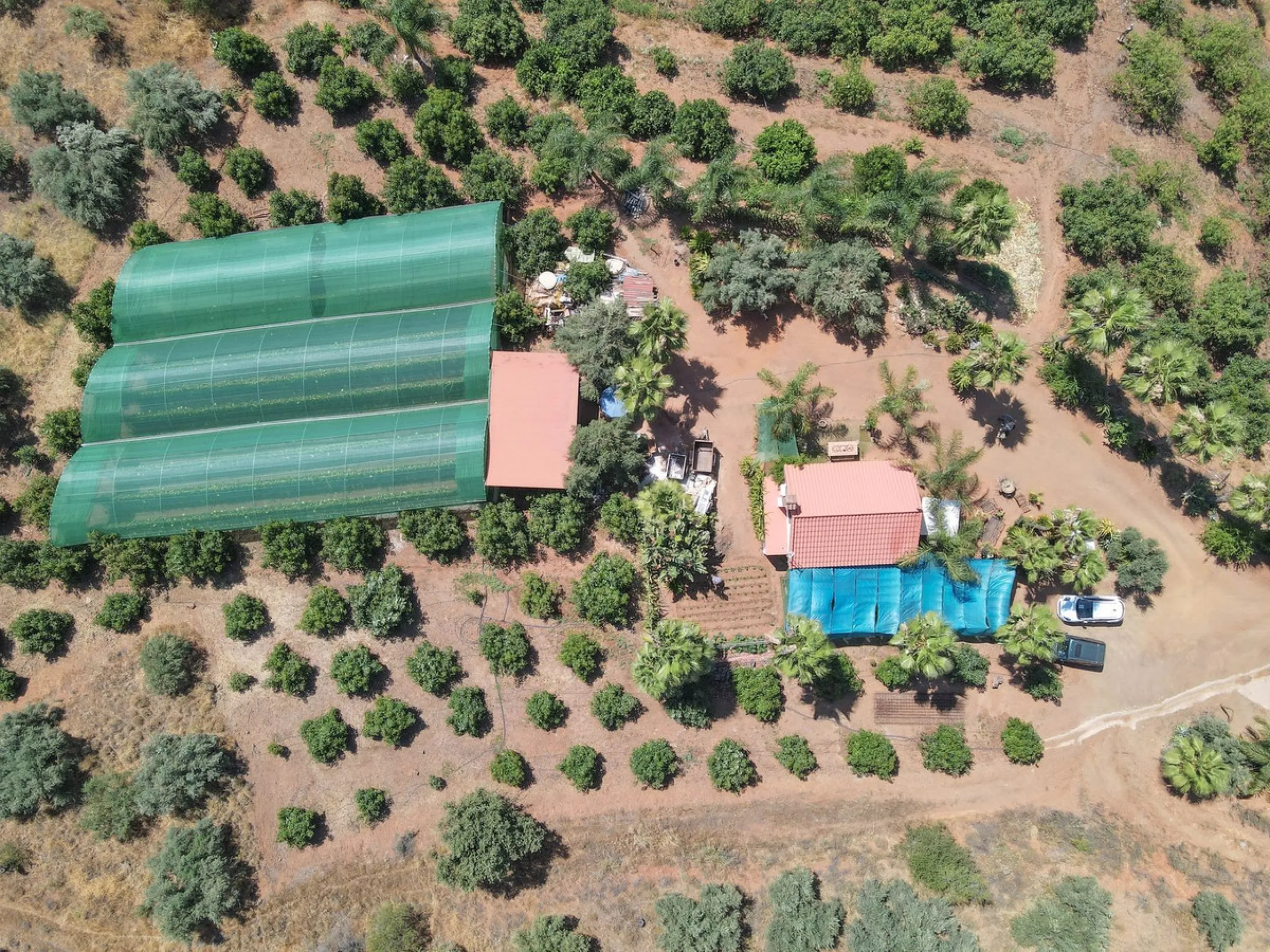Avocado & Dragon Fruit Farm – Your Own Mountain Retreat