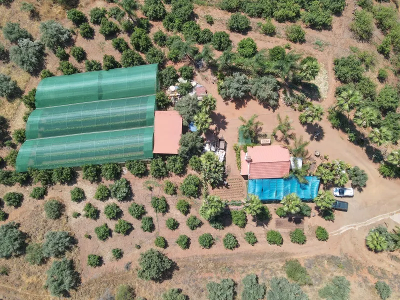 Avocado & Dragon Fruit Farm – Your Own Mountain Retreat