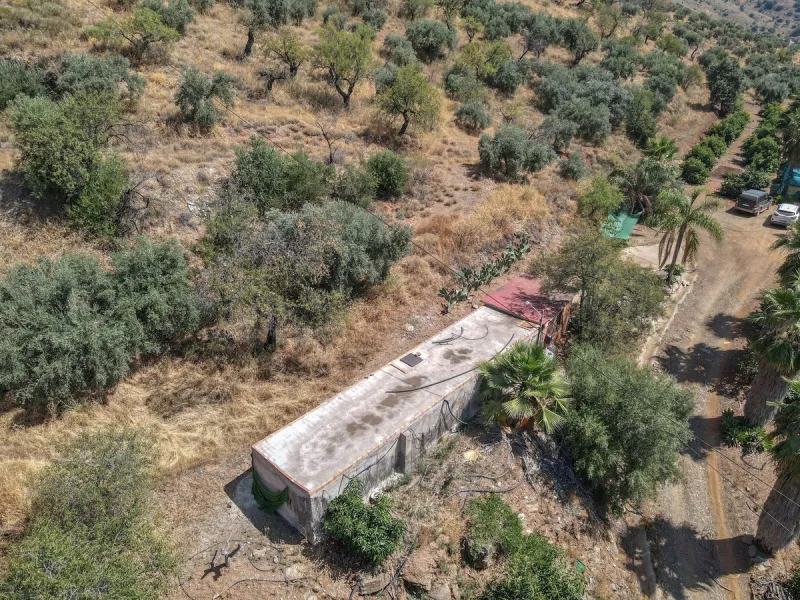 Avocado & Dragon Fruit Farm – Your Own Mountain Retreat