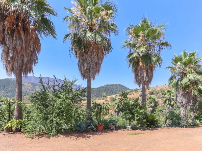 Avocado & Dragon Fruit Farm – Your Own Mountain Retreat