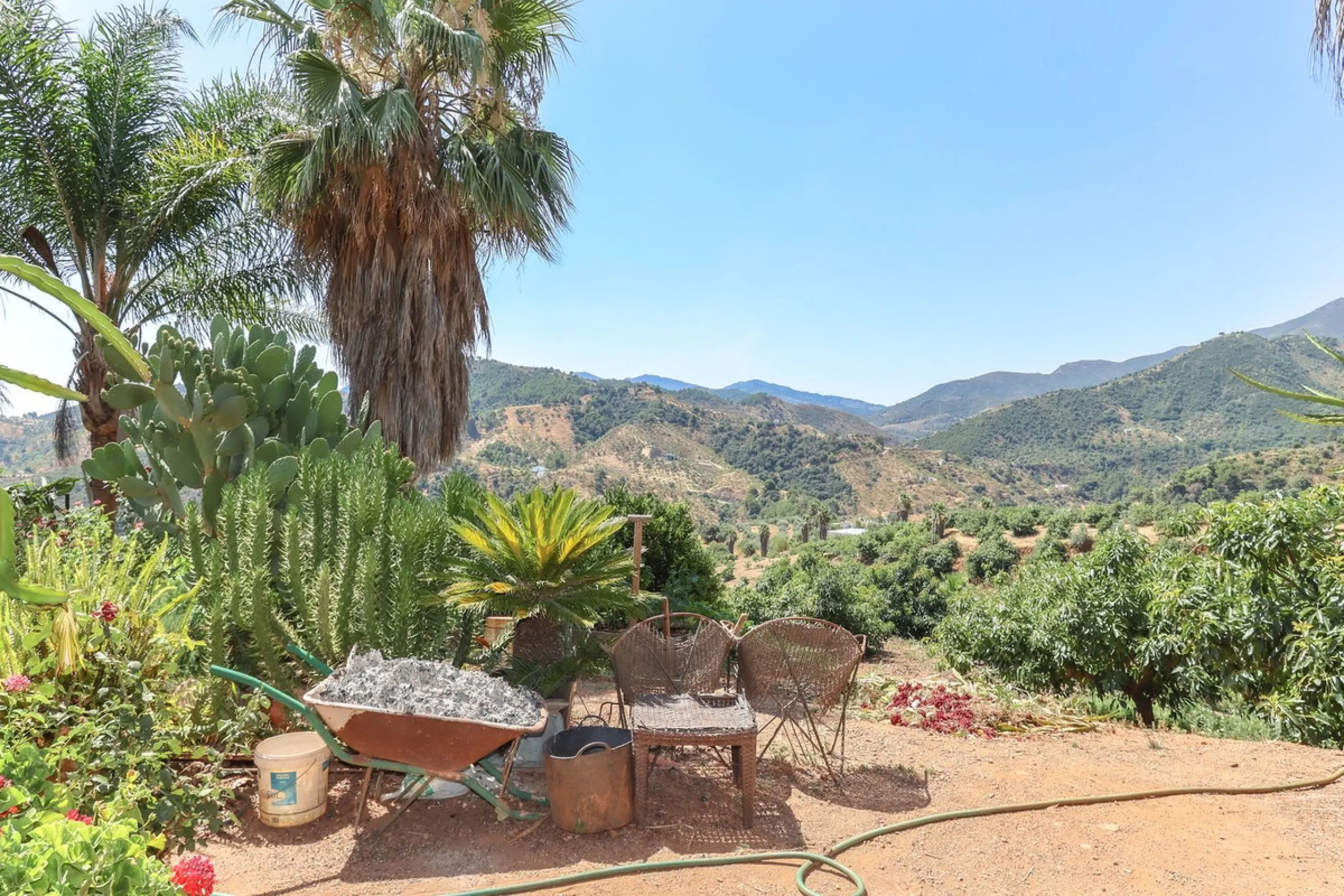 Avocado & Dragon Fruit Farm – Your Own Mountain Retreat
