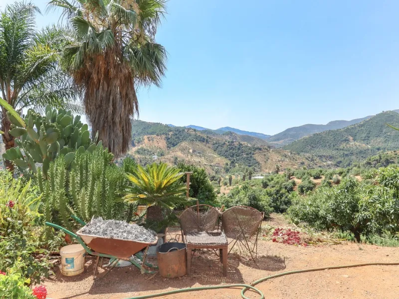 Avocado & Dragon Fruit Farm – Your Own Mountain Retreat