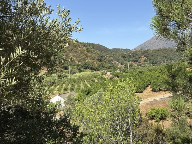 Organic Farm with Lemons All Year Round - On the banks of the Padrón River