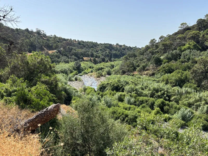 Organic Farm with Lemons All Year Round - On the banks of the Padrón River