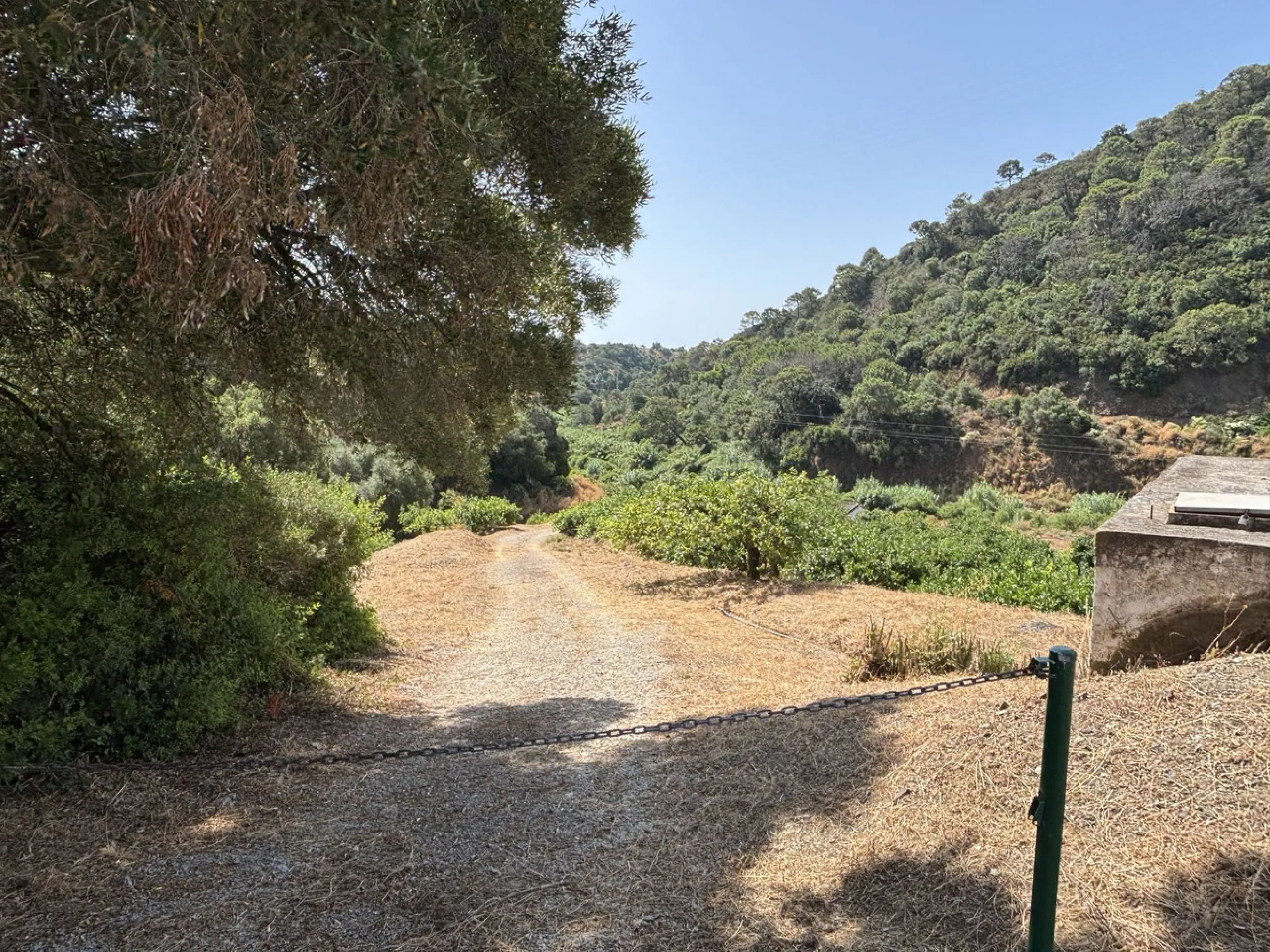 Organic Farm with Lemons All Year Round - On the banks of the Padrón River