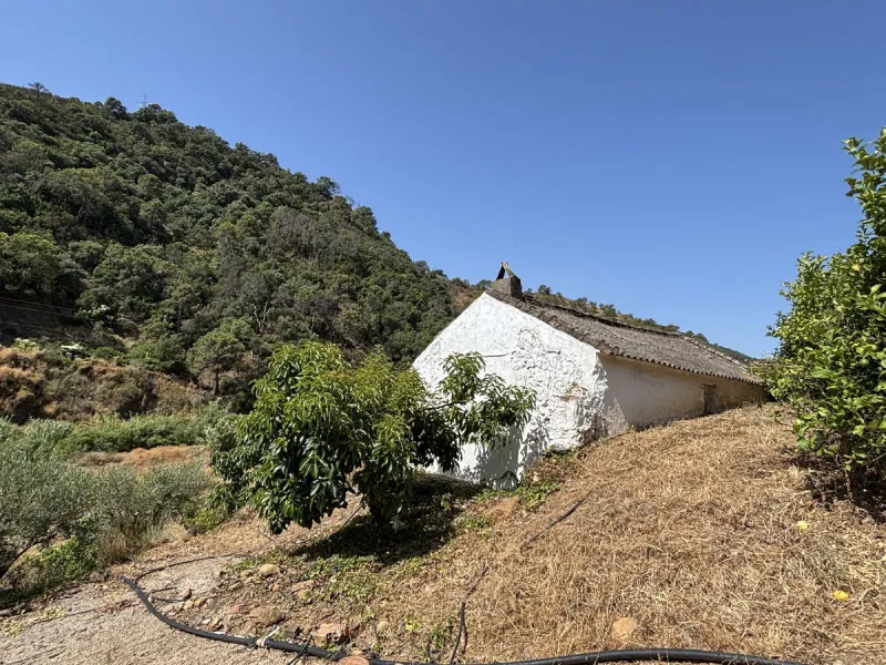 Organic Farm with Lemons All Year Round - On the banks of the Padrón River