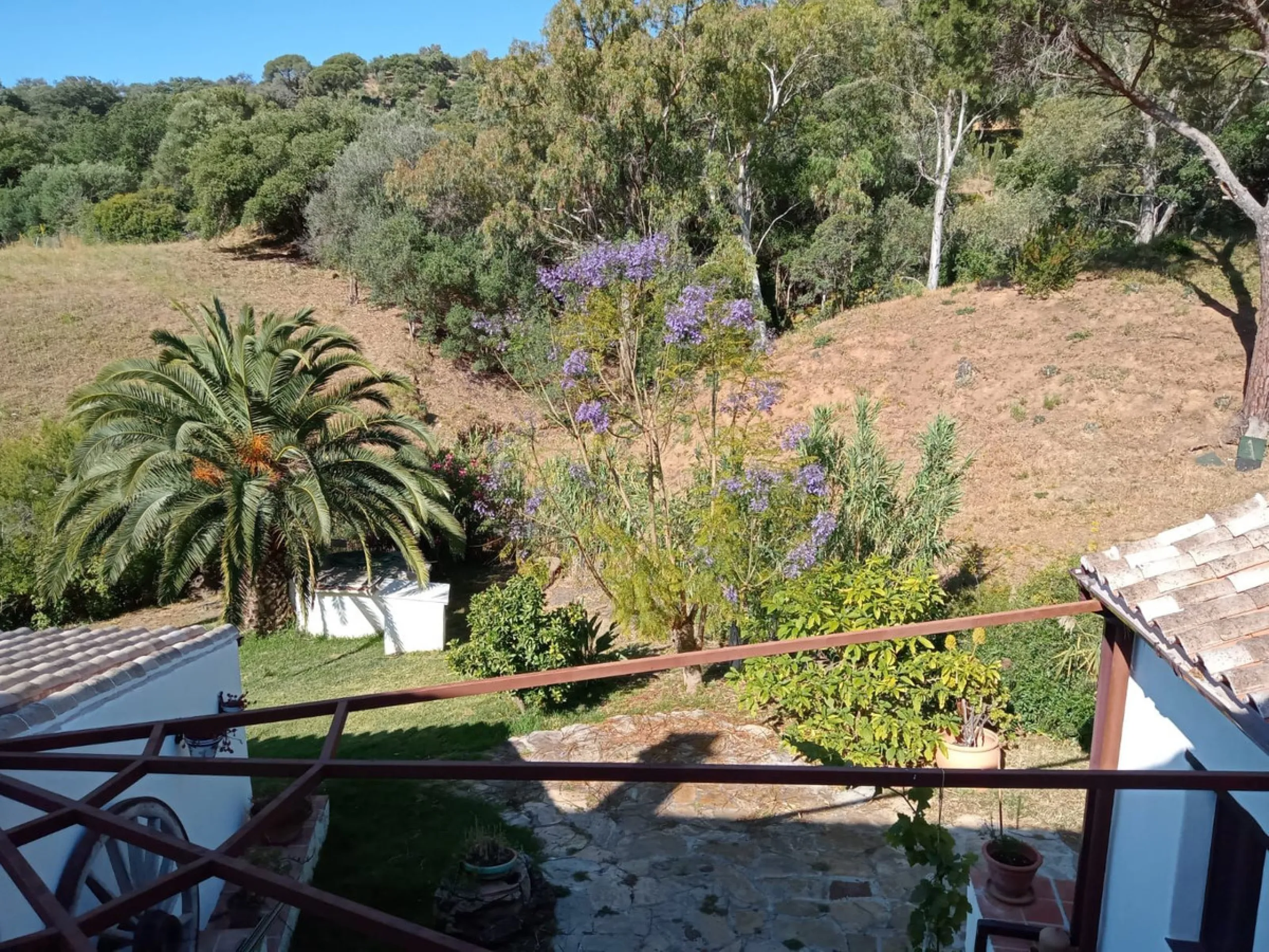 House - Finca - Cortijo в продаже в Casares, Málaga. В доме 4 спален и 2 ванных комнат. Площадь дома 175 м². Площадь участка 24990 м²