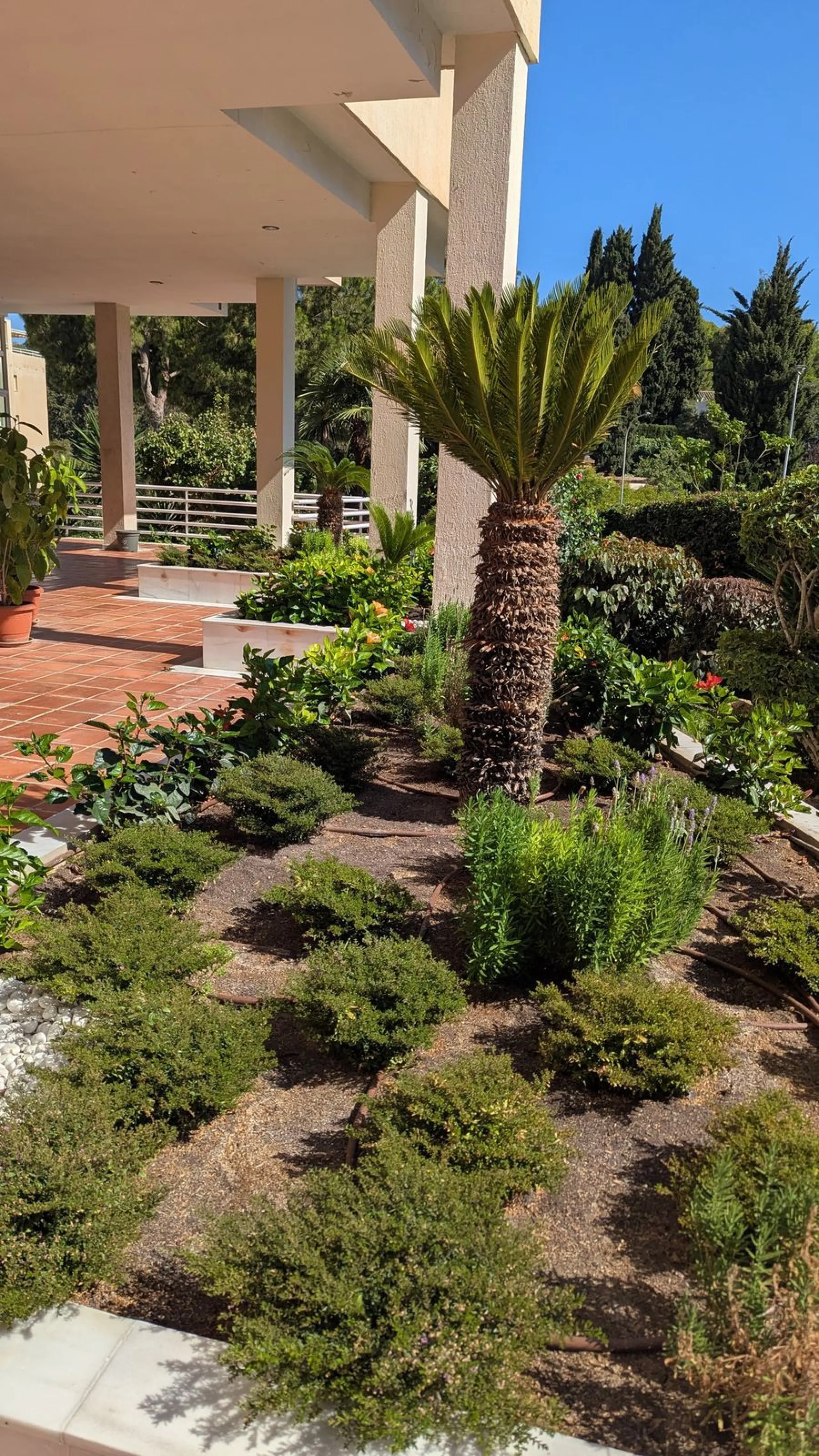 Penthouse with magnificent terrace in one of the most exclusive and sought after neighbourhoods in the city of Malaga. Located in El Limonar, a quiet and residential area, but at the same time next to all the shops and services. A bus line in the same str