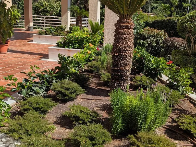 Penthouse with magnificent terrace in one of the most exclusive and sought after neighbourhoods in the city of Malaga. Located in El Limonar, a quiet and residential area, but at the same time next to all the shops and services. A bus line in the same str