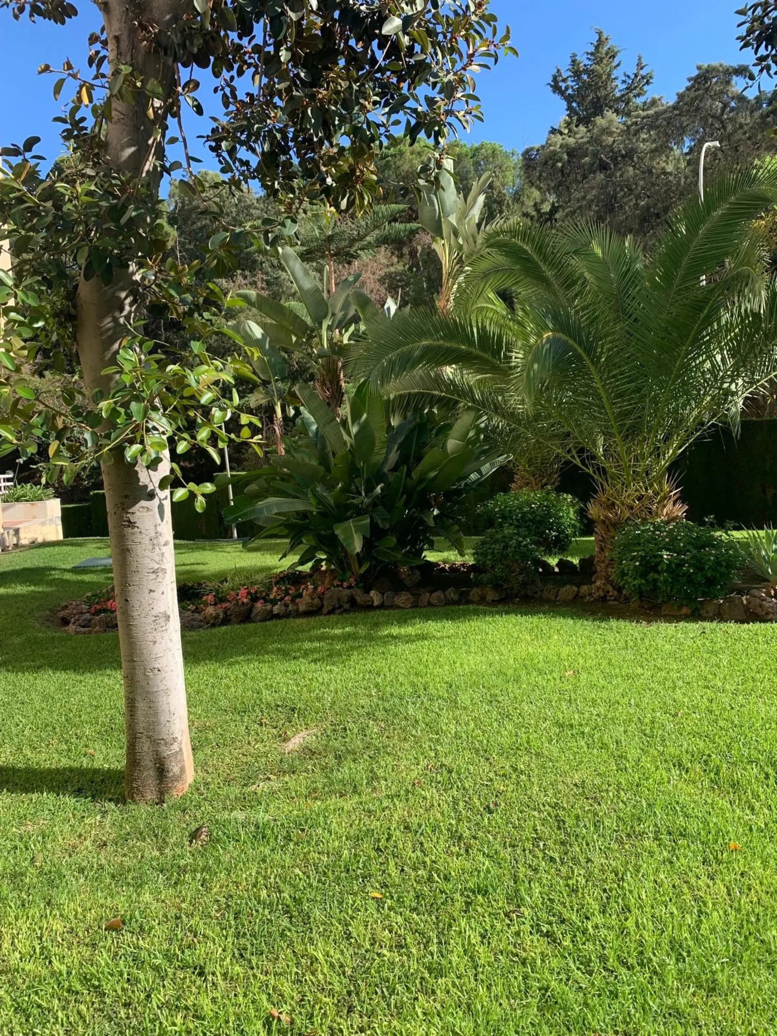 Penthouse with magnificent terrace in one of the most exclusive and sought after neighbourhoods in the city of Malaga. Located in El Limonar, a quiet and residential area, but at the same time next to all the shops and services. A bus line in the same str