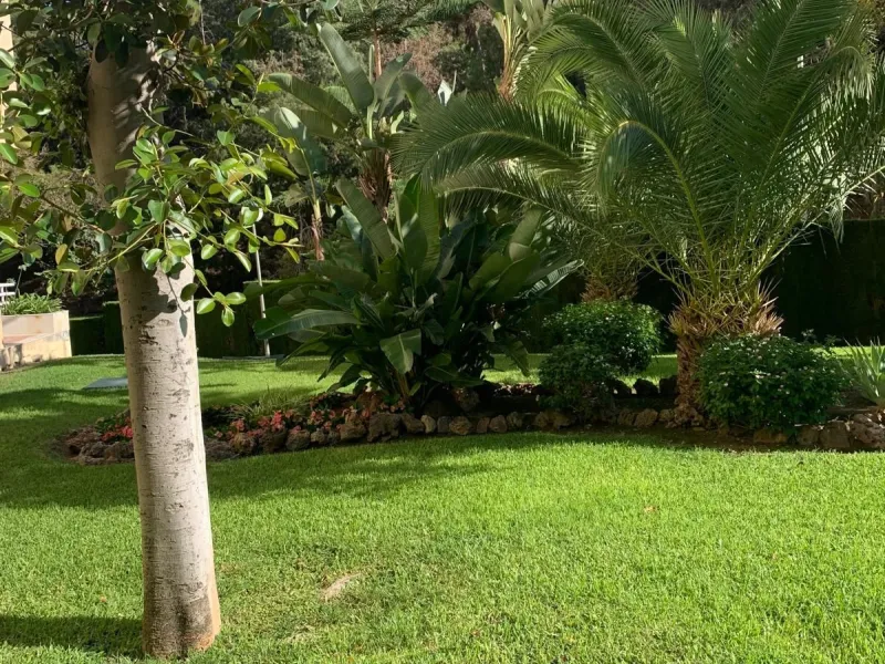 Penthouse with magnificent terrace in one of the most exclusive and sought after neighbourhoods in the city of Malaga. Located in El Limonar, a quiet and residential area, but at the same time next to all the shops and services. A bus line in the same str