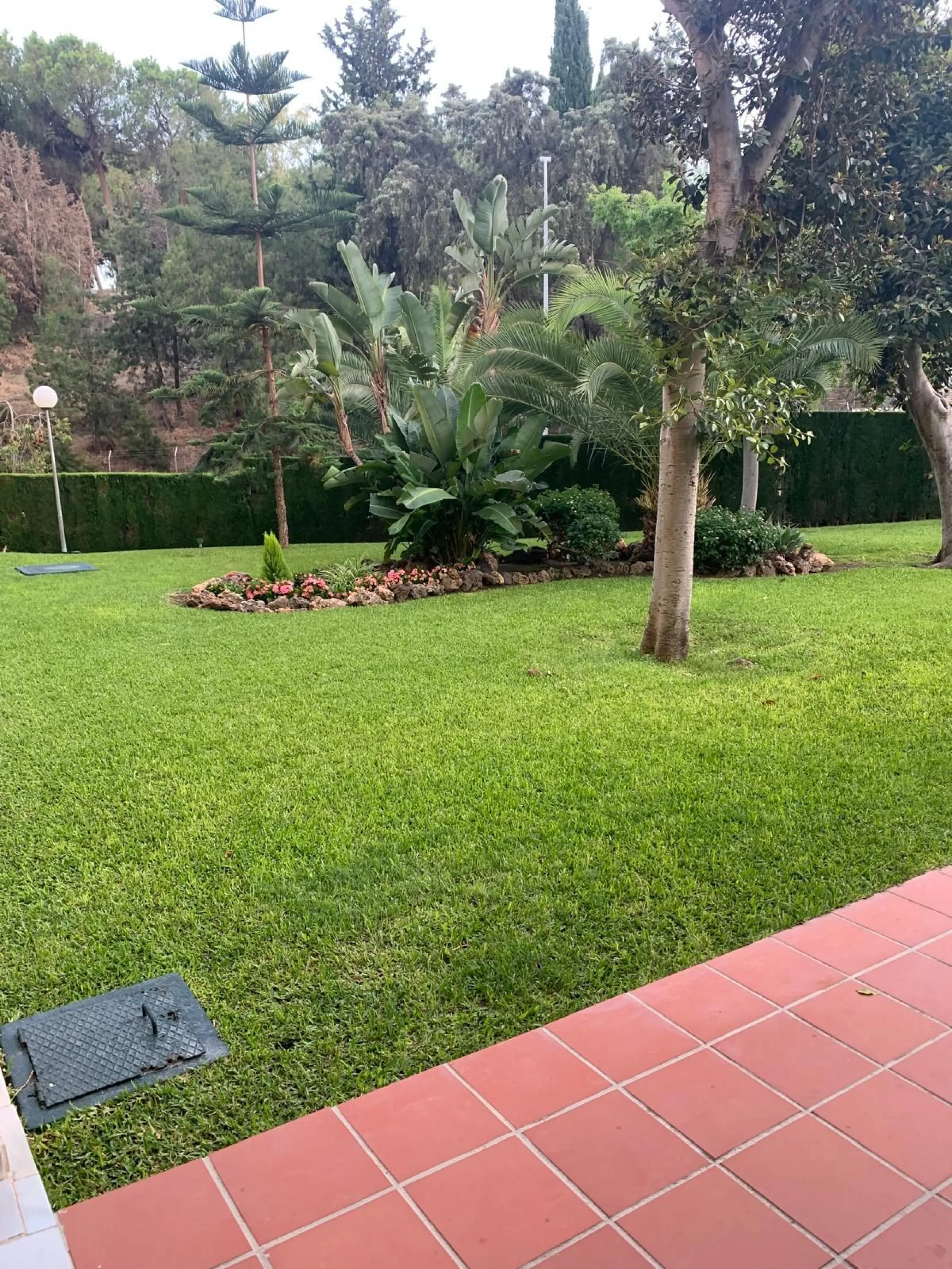 Penthouse with magnificent terrace in one of the most exclusive and sought after neighbourhoods in the city of Malaga. Located in El Limonar, a quiet and residential area, but at the same time next to all the shops and services. A bus line in the same str