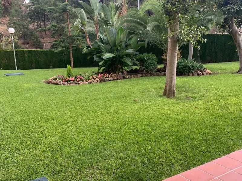 Penthouse with magnificent terrace in one of the most exclusive and sought after neighbourhoods in the city of Malaga. Located in El Limonar, a quiet and residential area, but at the same time next to all the shops and services. A bus line in the same str