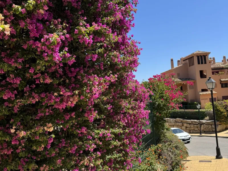 Fabulous Duplex Penthouse in La Mairena, Marbella