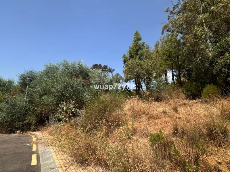 An extraordinary opportunity to acquire a spacious plot of land ideally located between Estepona and Marbella, offering stunning sea and mountain views. Just 5 minutes from the charming town of Estepona, 10–15 minutes from the iconic Puerto Banús, and 20 