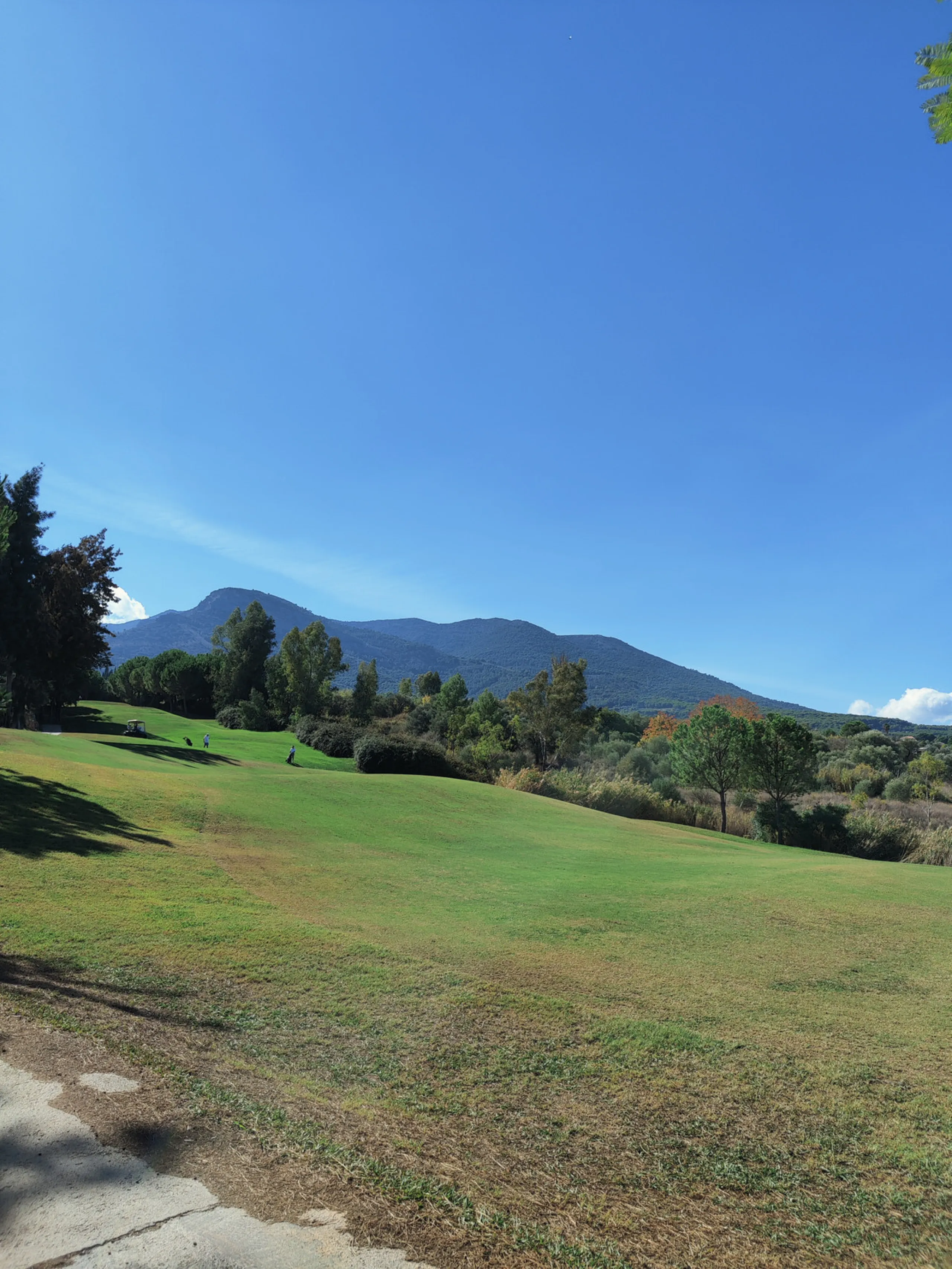Wonderful house has just been put up for sale in the scenic Golf Resort near Malaga.