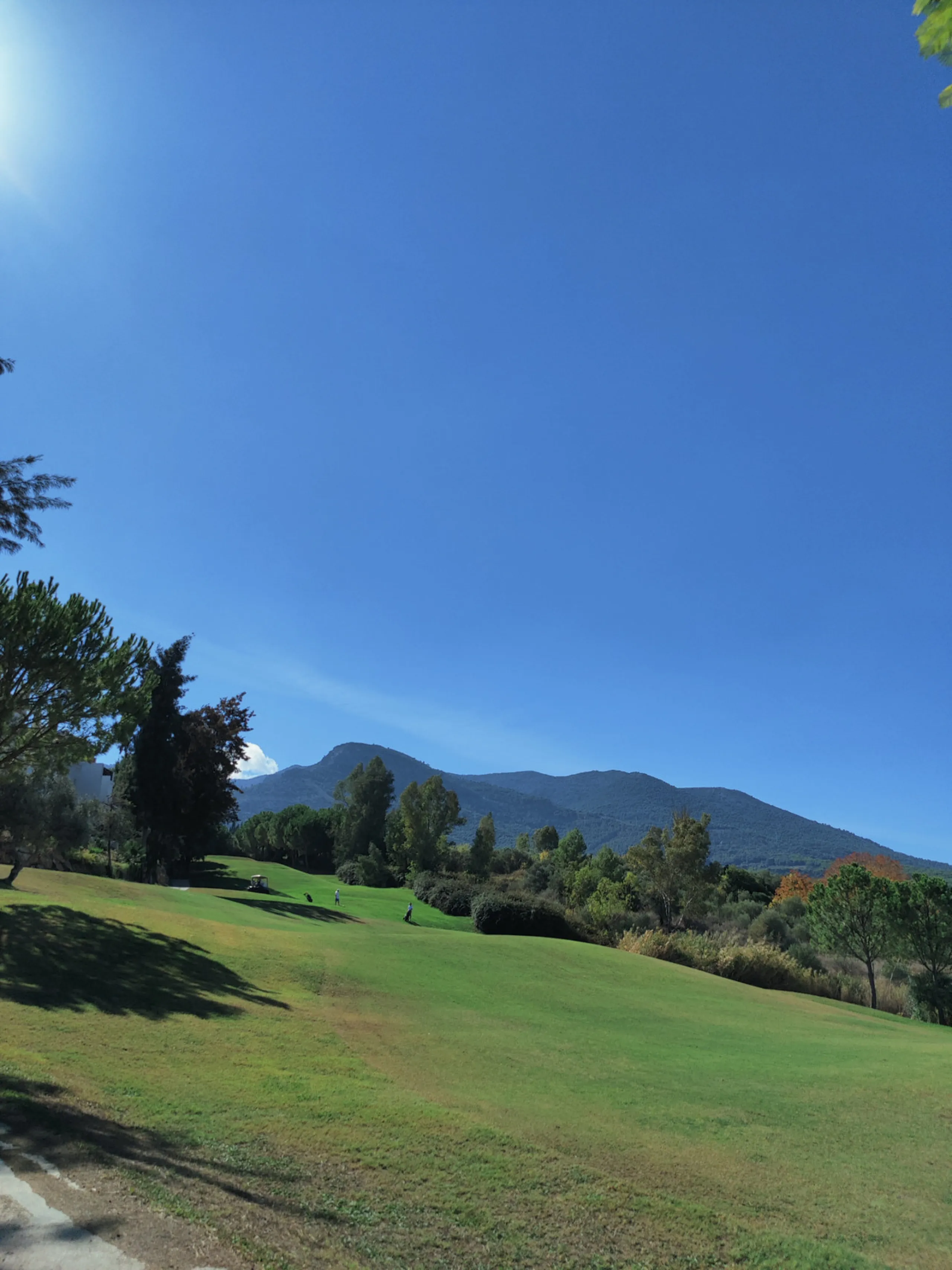Wonderful house has just been put up for sale in the scenic Golf Resort near Malaga.