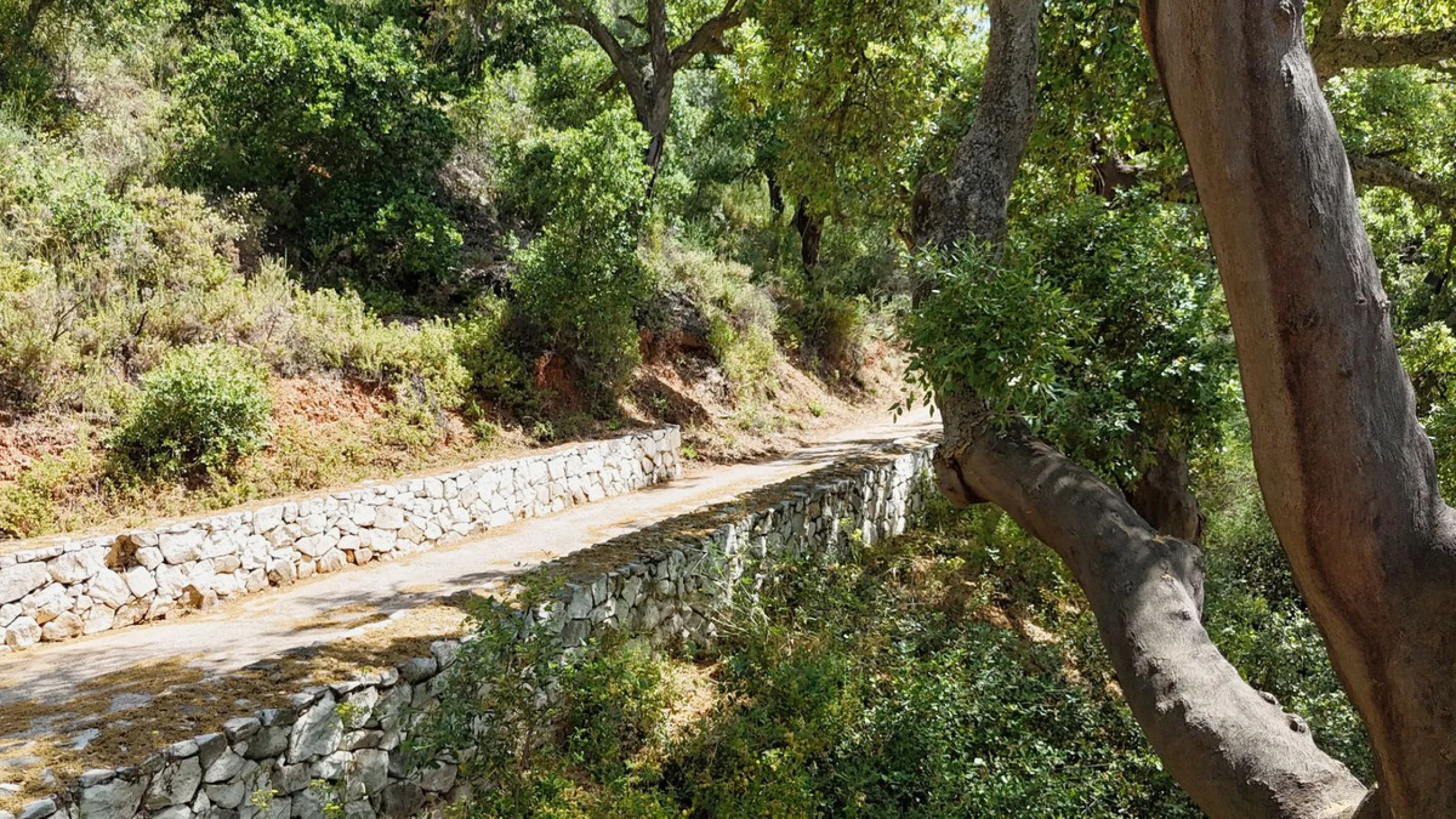 Impressive property in a prime location with views of the countryside and mountains on a plot of over 37,000 m² in Alhaurin El Grande !