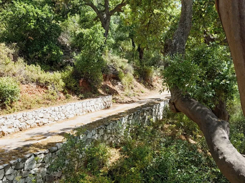 Impressive property in a prime location with views of the countryside and mountains on a plot of over 37,000 m² in Alhaurin El Grande !