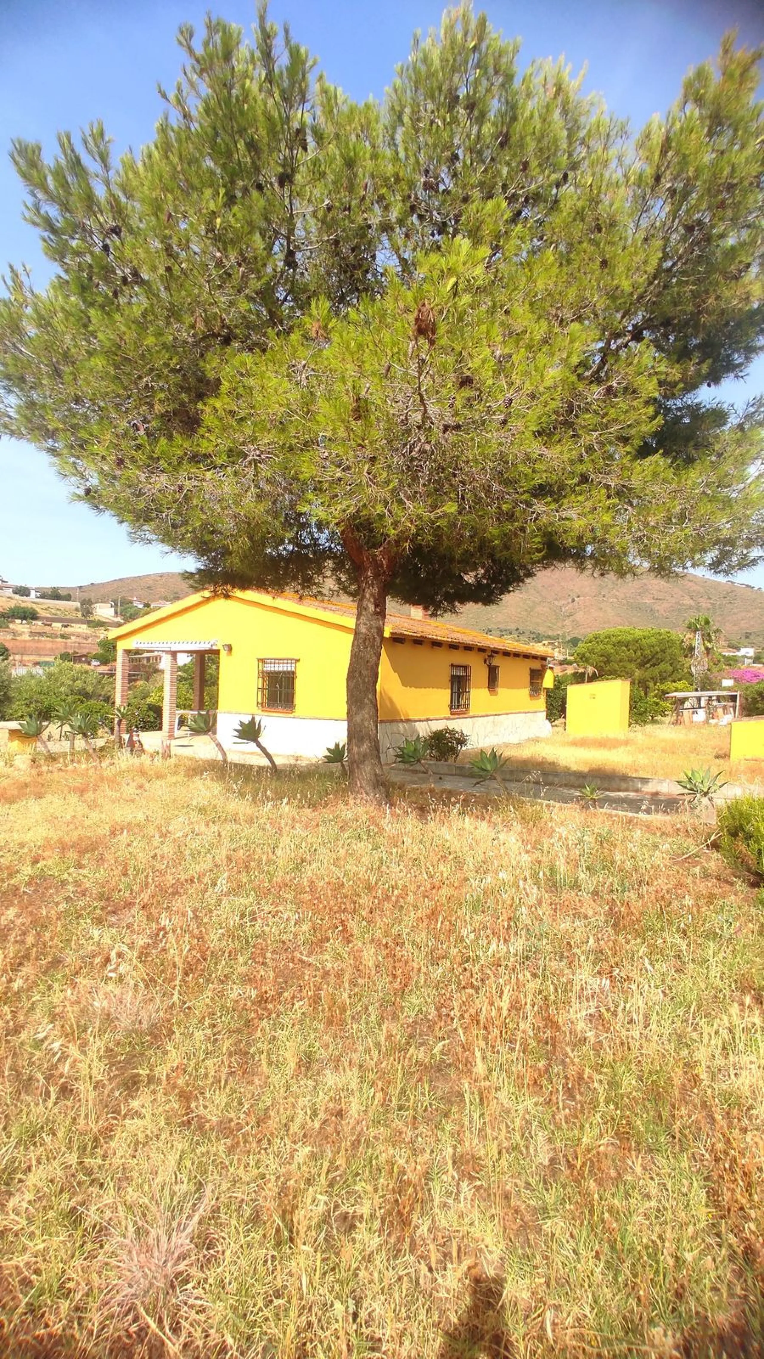 Charming Rustic Home in Entrerríos – Just 10 Minutes from La Cala de Mijas