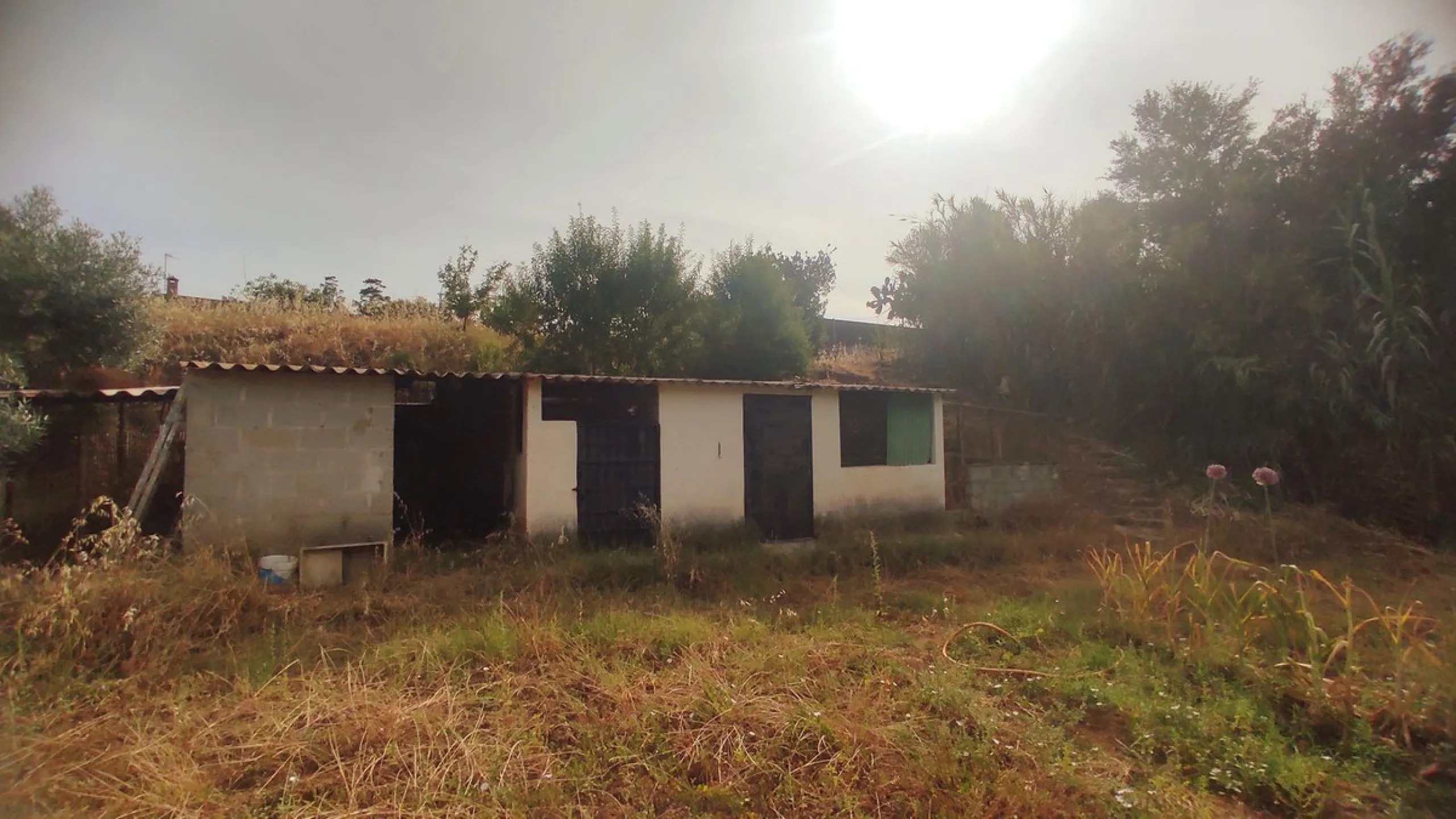 Charming Rustic Home in Entrerríos – Just 10 Minutes from La Cala de Mijas