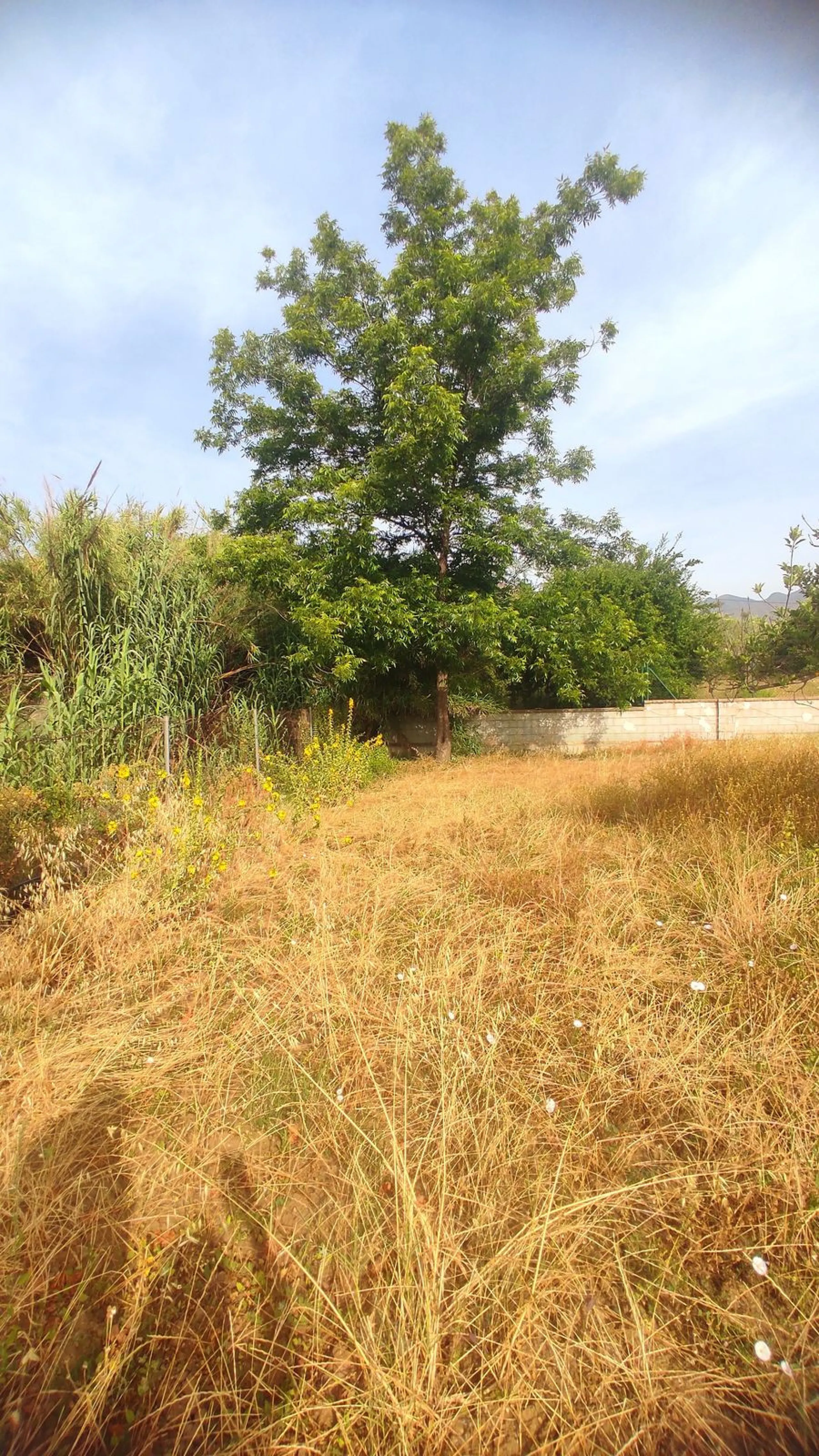 Charming Rustic Home in Entrerríos – Just 10 Minutes from La Cala de Mijas
