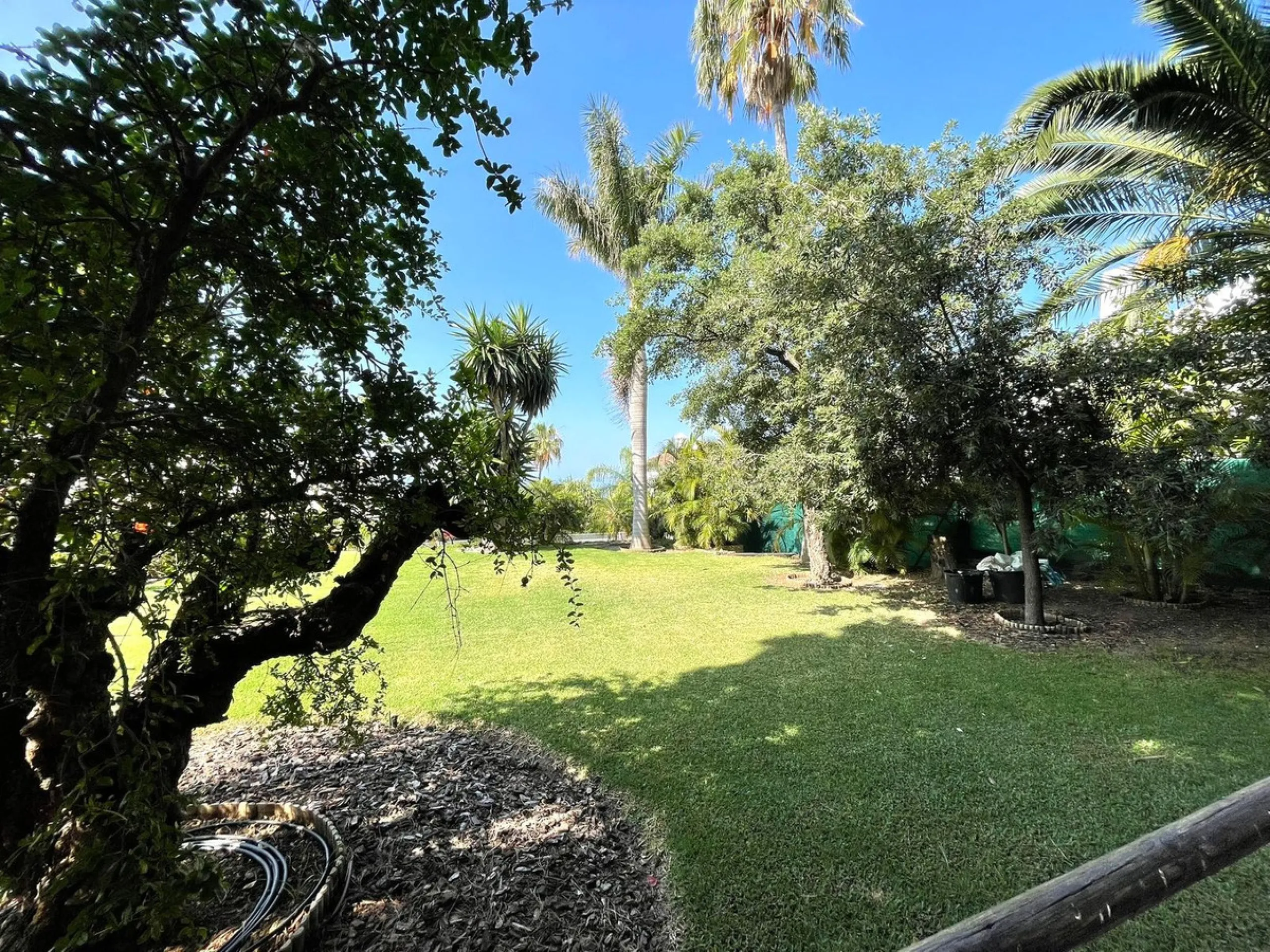 Independent Villa in Estepona – 984 m² Plot and 273 m² Built