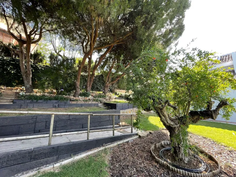 Independent Villa in Estepona – 984 m² Plot and 273 m² Built