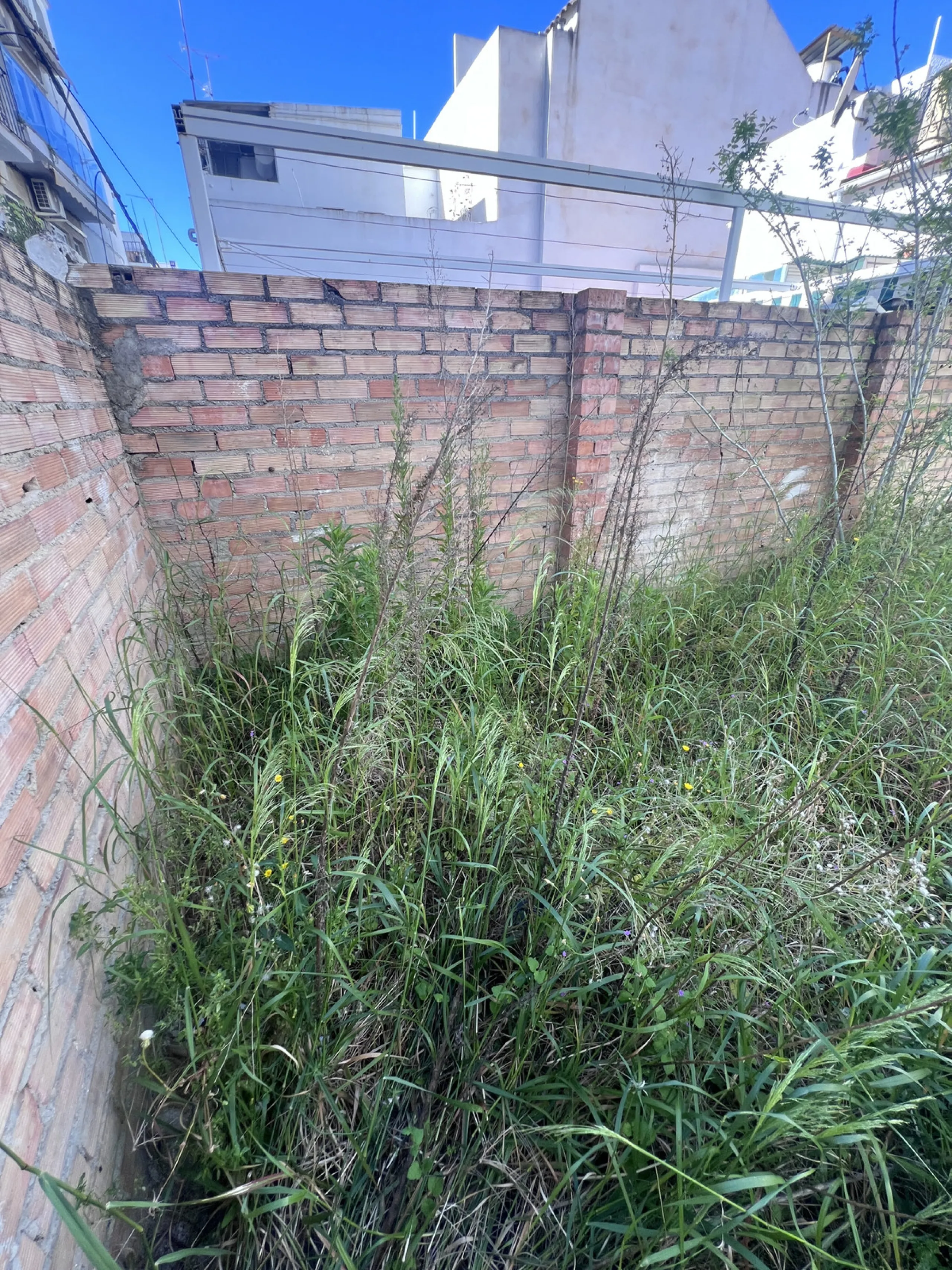 Urban plot with project zoning approval under the current General Urban Development Plan (PGOU 1986), classified as NP-1 (Ground floor + 2 levels). Fully ready for construction, this property is ideally situated in the heart of Marbella's historic centre—