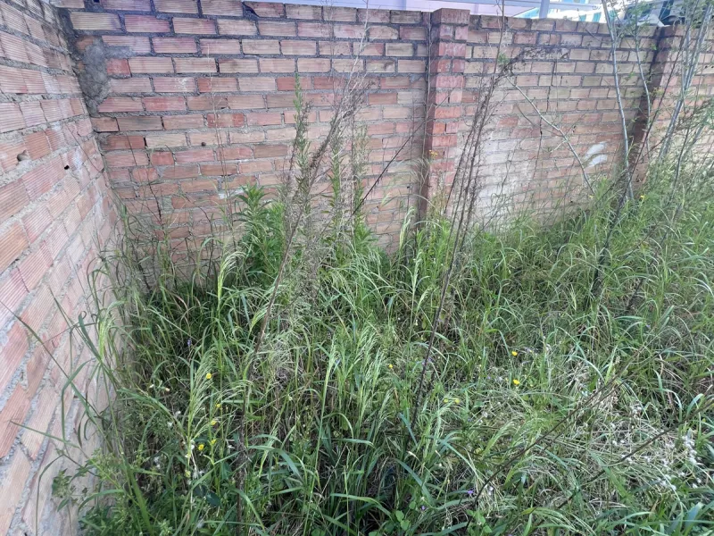 Urban plot with project zoning approval under the current General Urban Development Plan (PGOU 1986), classified as NP-1 (Ground floor + 2 levels). Fully ready for construction, this property is ideally situated in the heart of Marbella's historic centre—