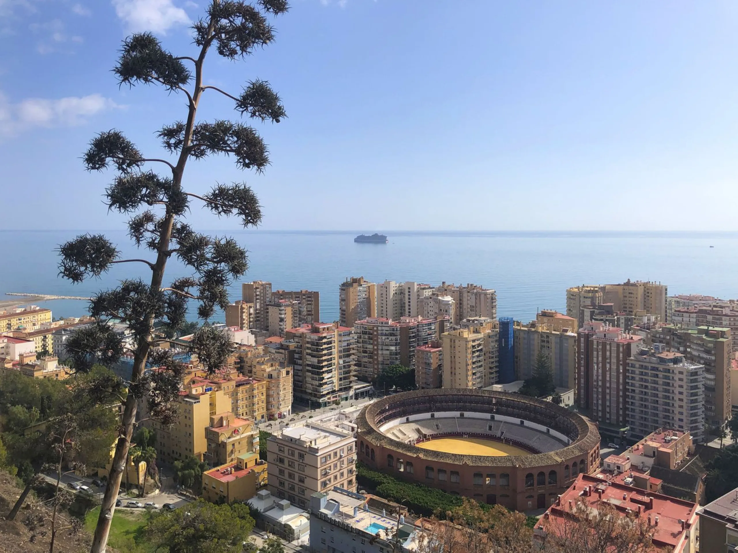 Exclusive Commercial Premises in the Heart of Málaga's Historic Center