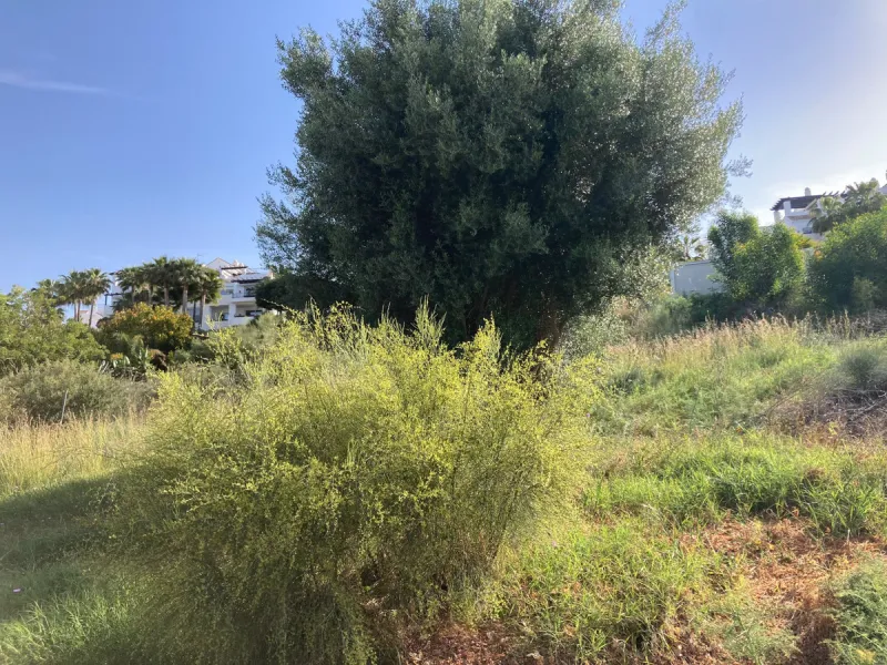 Plot - Land в продаже в Benahavís, Málaga. Площадь участка 1560 м²