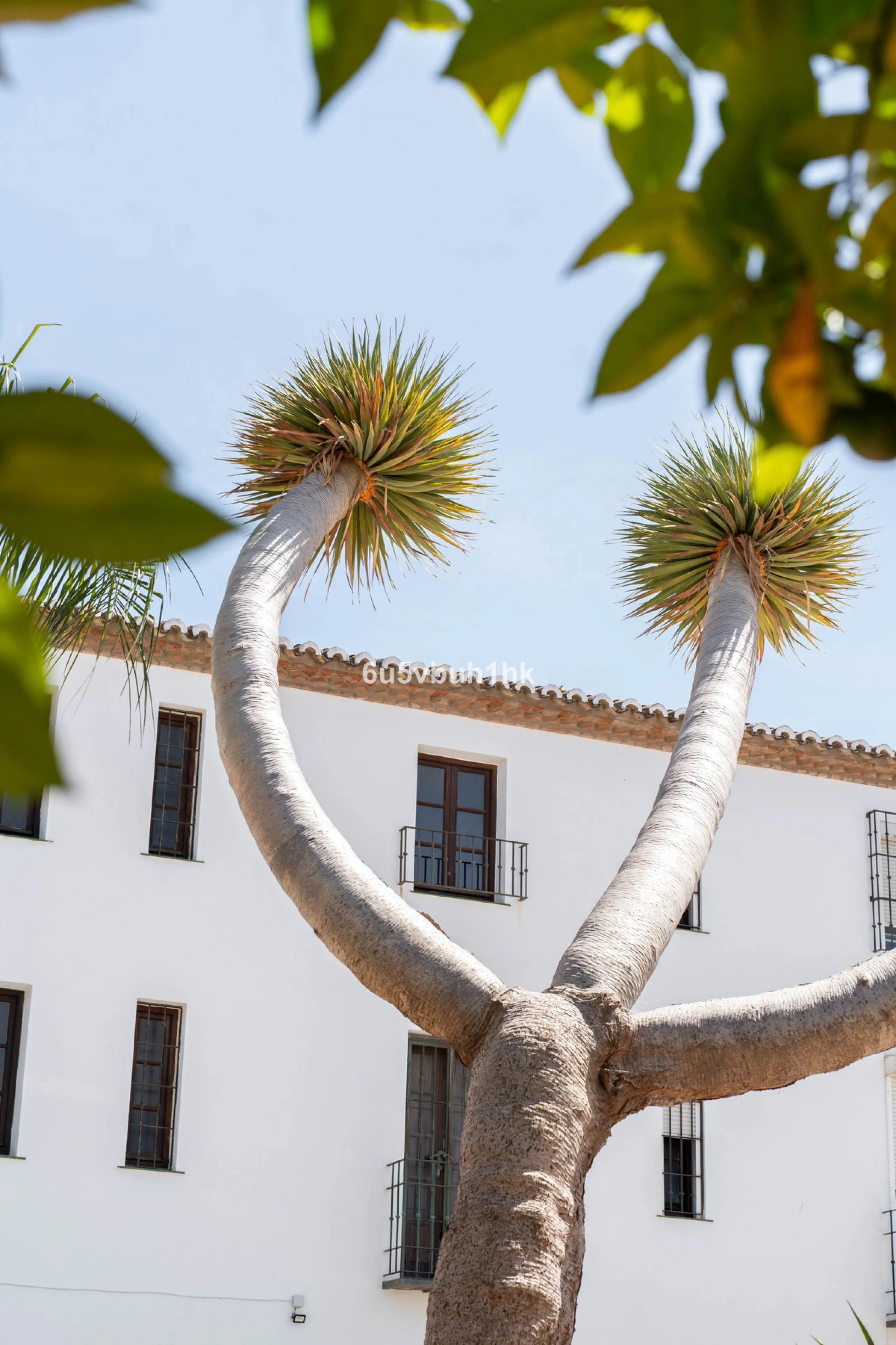 Welcome to a charming townhouse set right on the golf course in Mijas, surrounded by nature, peace, and Andalusian charm. This beautifully maintained home offers a private garden with open green views, backing directly onto a well-kept golf area, ideal fo