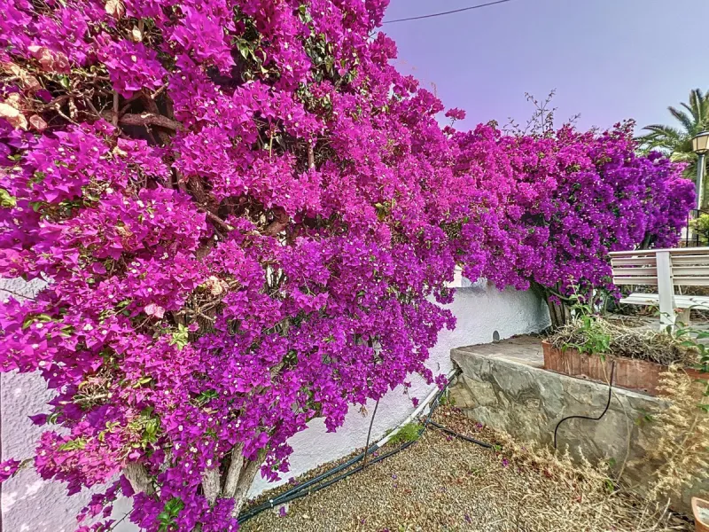 This charming two-story home in Caleta de Vélez offers 169.38 m2 of usable space and 220 m2 built, including terraces, in a privileged location with sea views and a swimming pool. The design blends Mediterranean charm with modern comfort, perfect for enjo