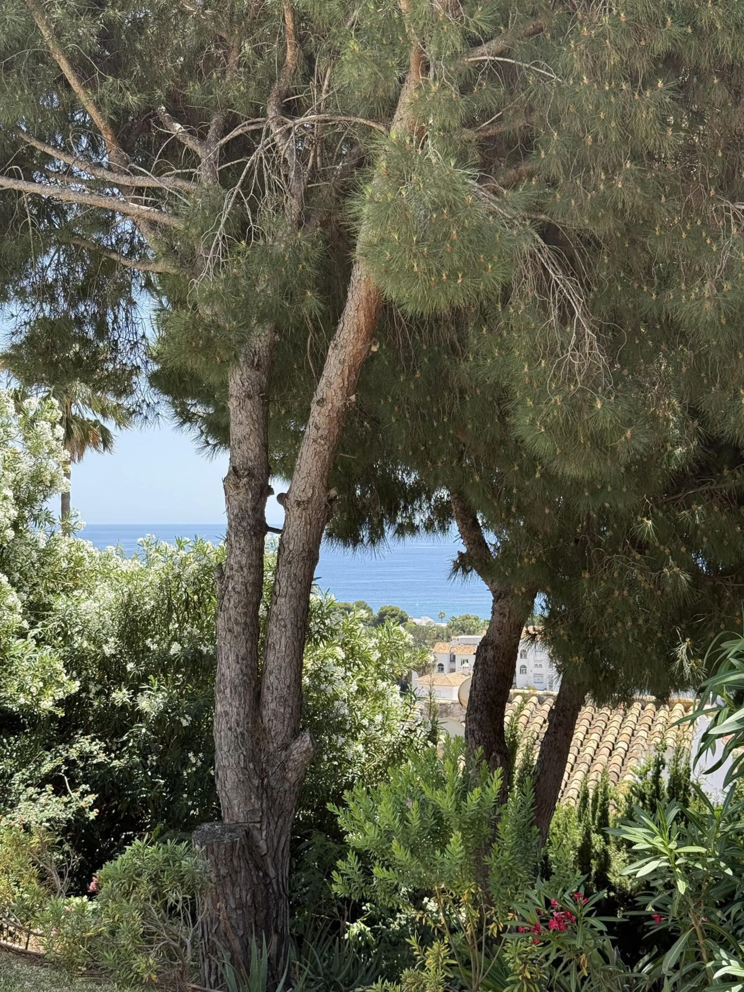 !!!!! MOST AMAZING SEA VIEW  OF RIVIERA DEL SOL IS FOR SALE NOW !!!!!!