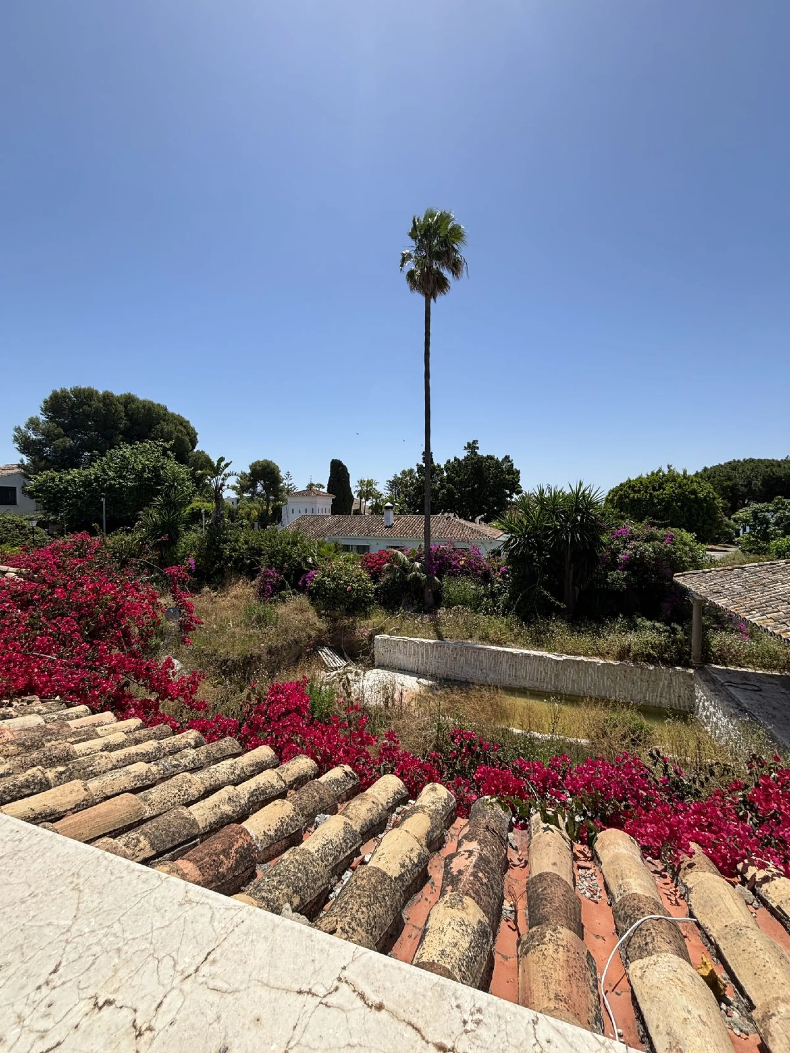 Exceptional Investment Opportunity – South-Facing Villa on Large Plot Just 2 Minutes from the Beach