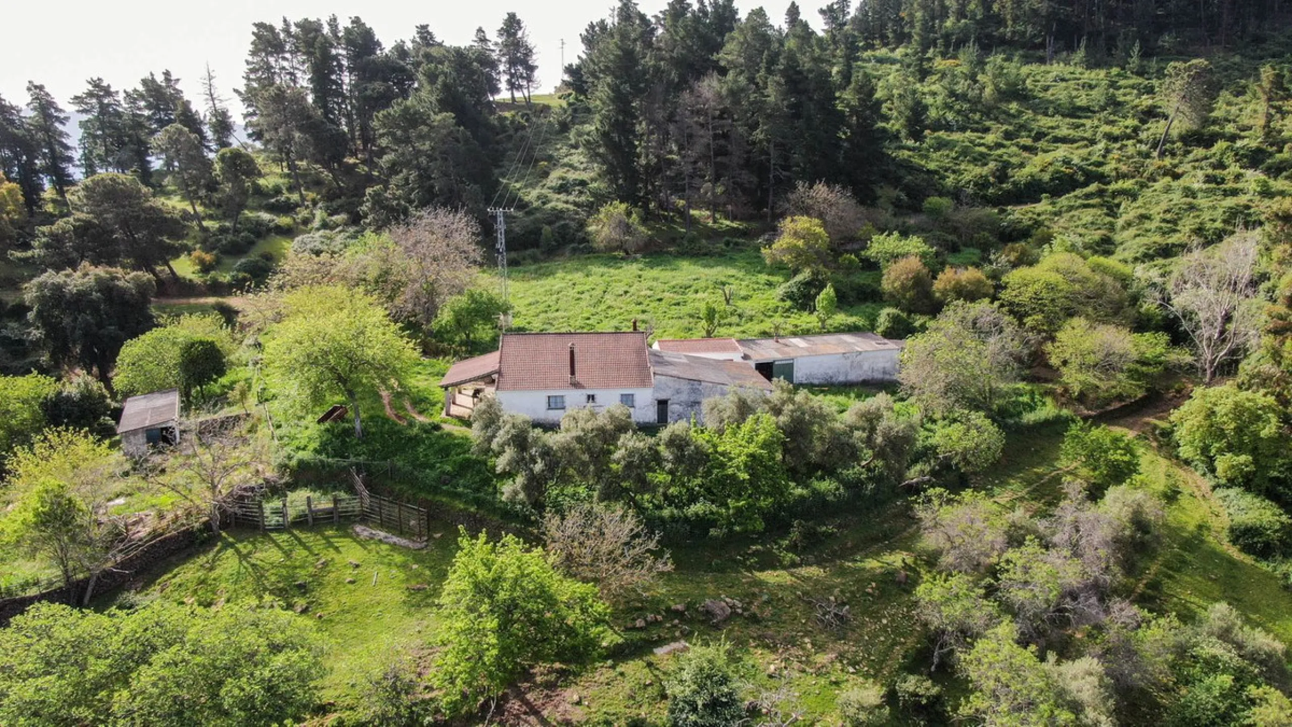 Charming Estate with Spectacular Views in a Natural Paradise – Just 5 Minutes from Gaucín