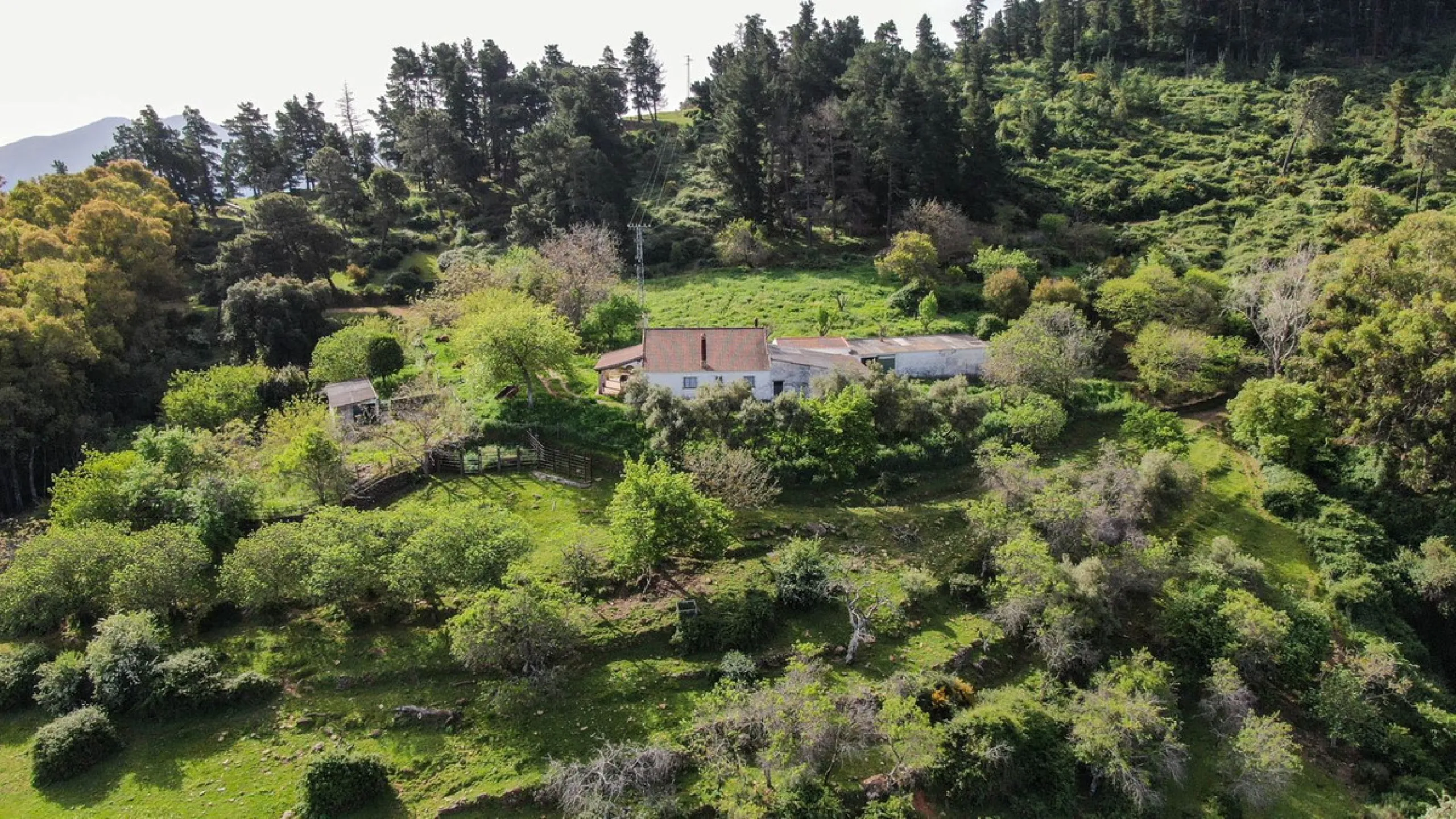 Charming Estate with Spectacular Views in a Natural Paradise – Just 5 Minutes from Gaucín