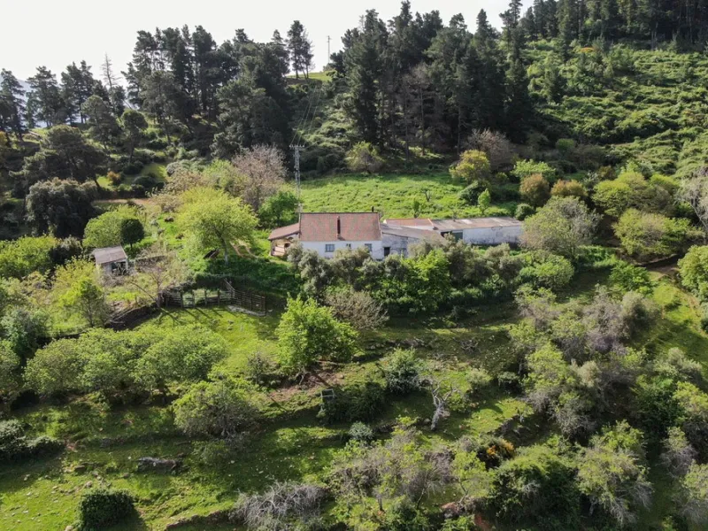 Charming Estate with Spectacular Views in a Natural Paradise – Just 5 Minutes from Gaucín