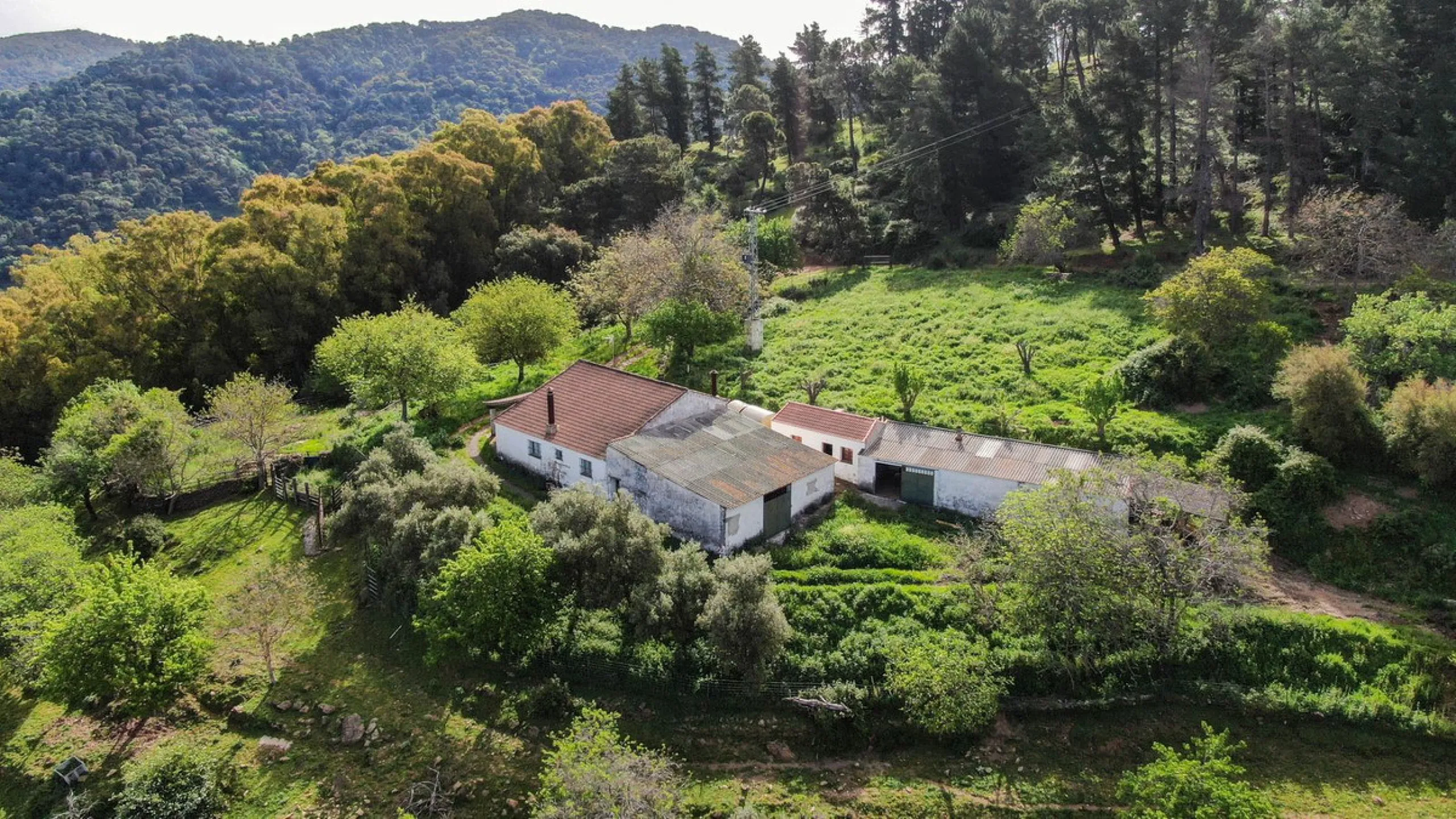 Charming Estate with Spectacular Views in a Natural Paradise – Just 5 Minutes from Gaucín