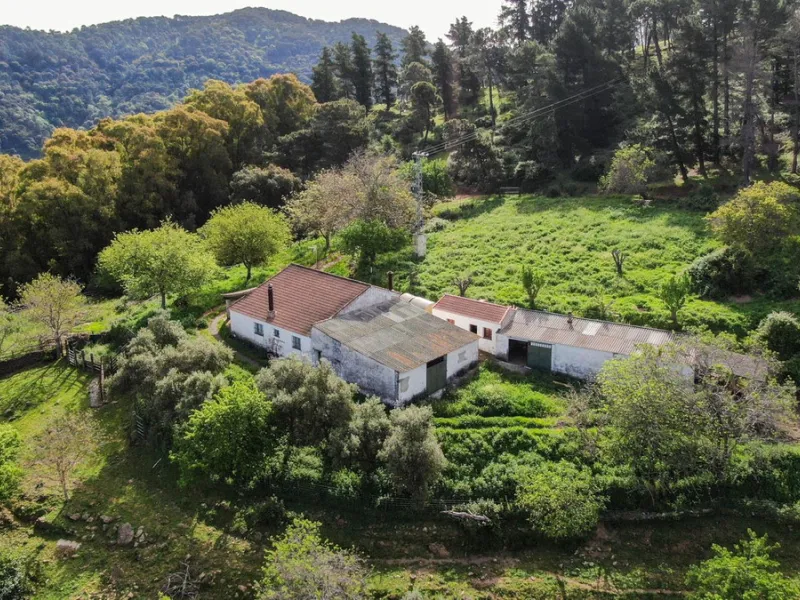 Charming Estate with Spectacular Views in a Natural Paradise – Just 5 Minutes from Gaucín