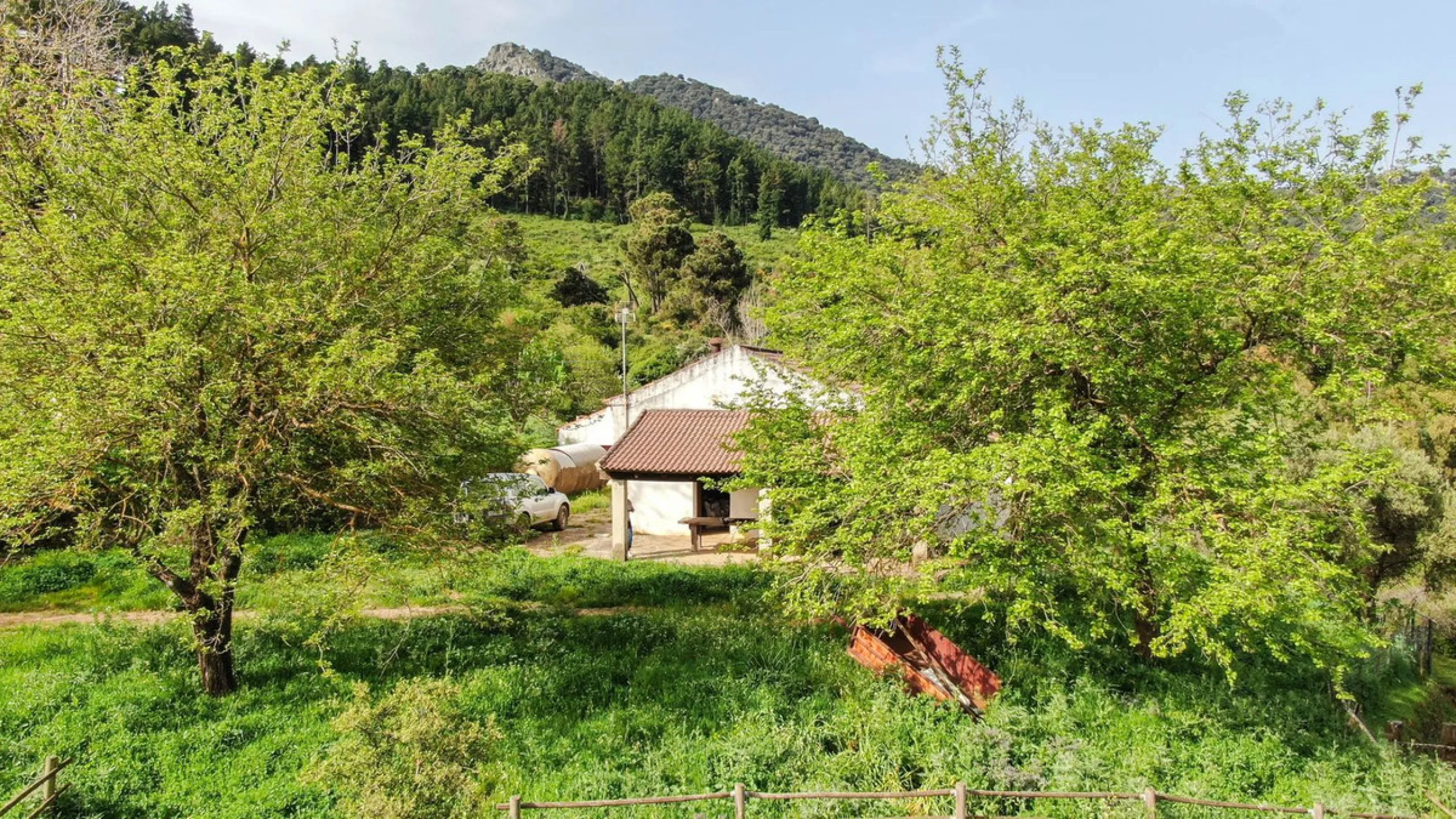 Charming Estate with Spectacular Views in a Natural Paradise – Just 5 Minutes from Gaucín