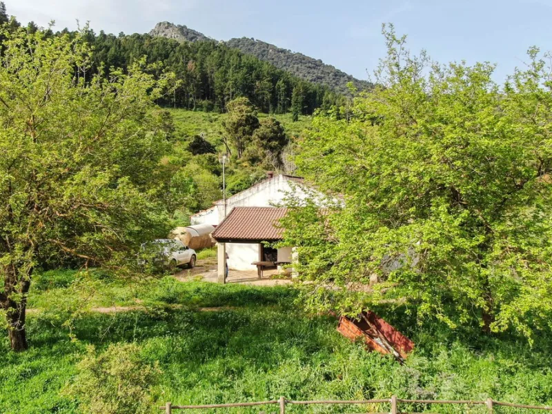 Charming Estate with Spectacular Views in a Natural Paradise – Just 5 Minutes from Gaucín