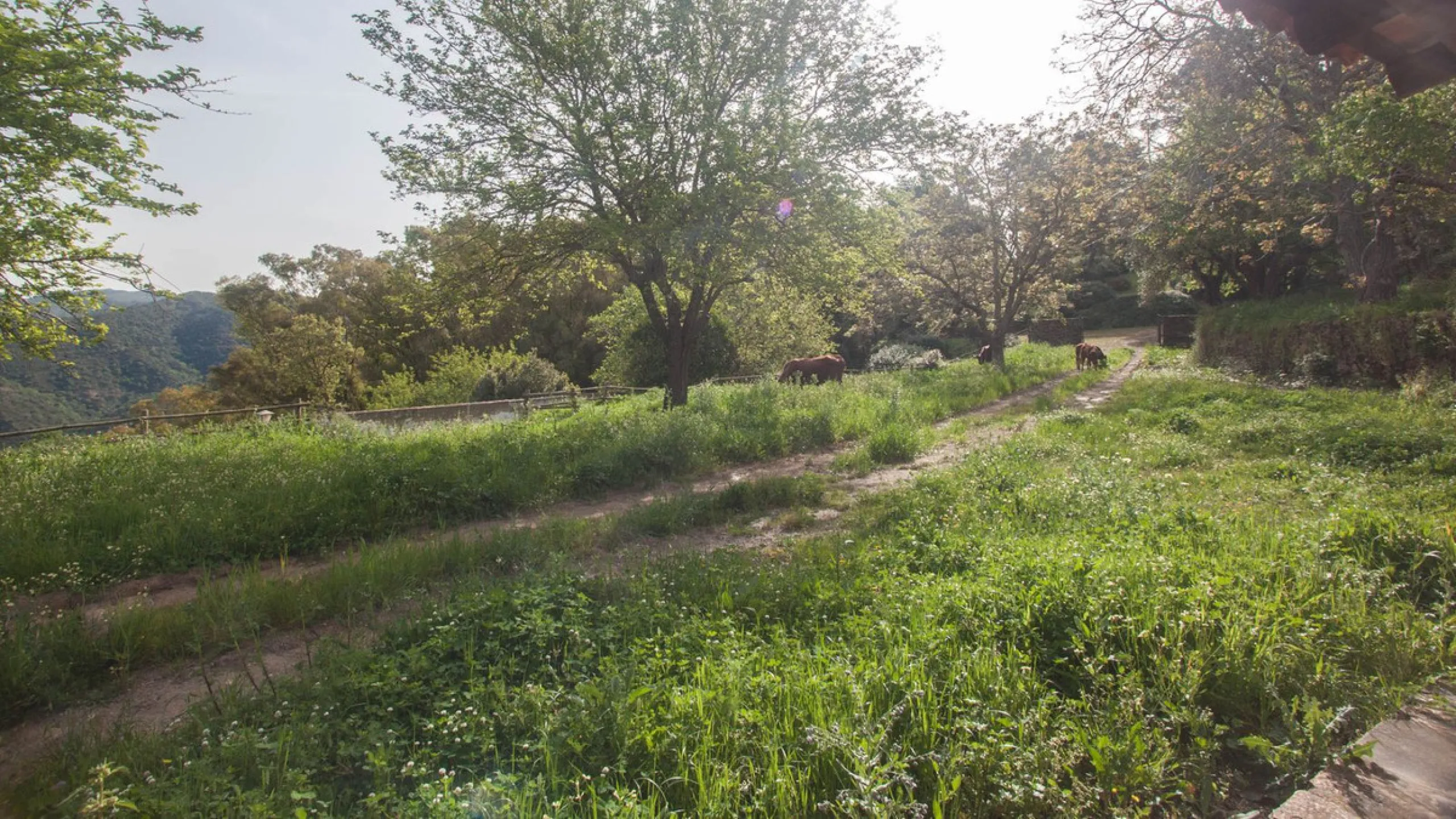 Charming Estate with Spectacular Views in a Natural Paradise – Just 5 Minutes from Gaucín
