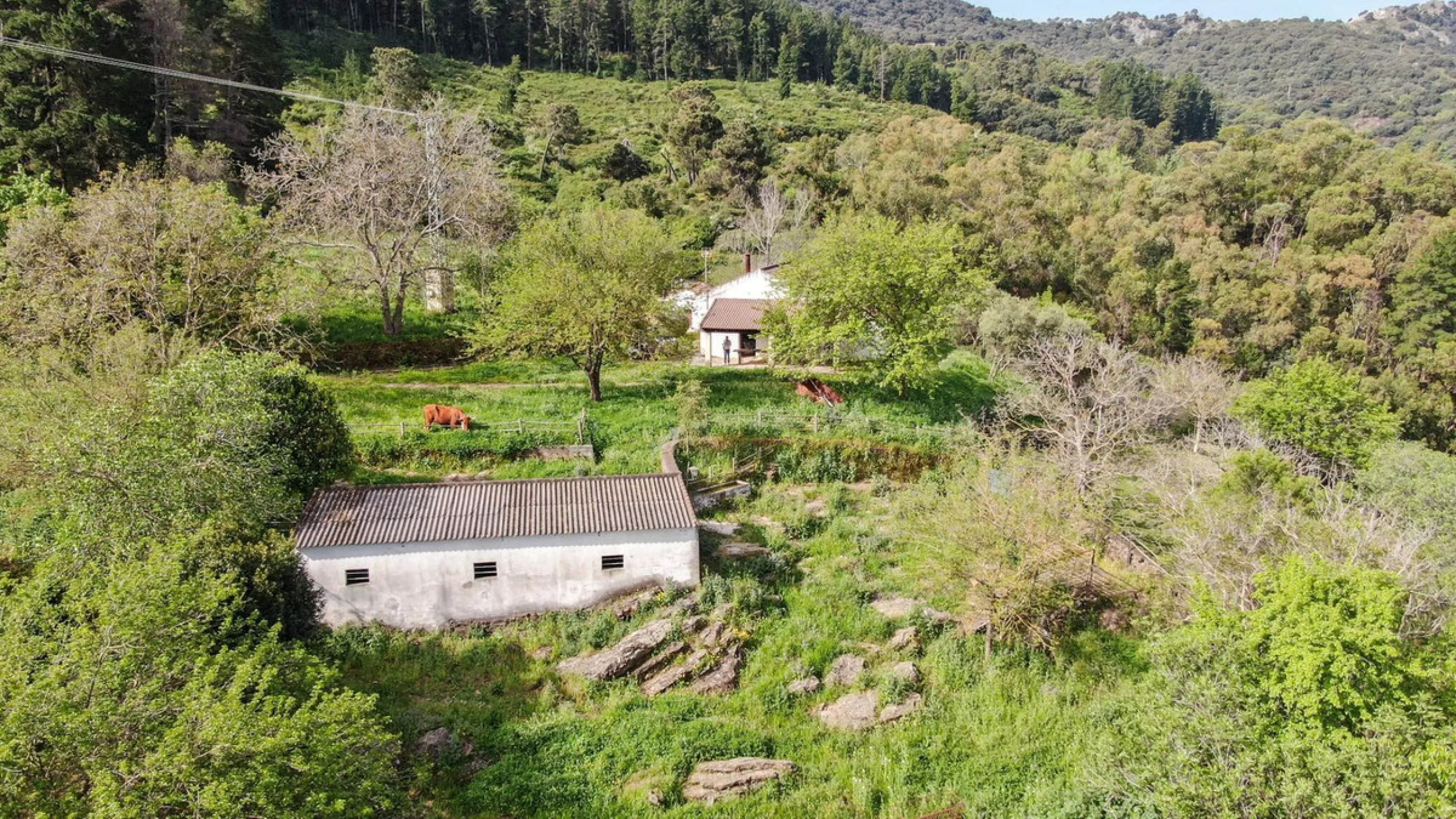 Charming Estate with Spectacular Views in a Natural Paradise – Just 5 Minutes from Gaucín