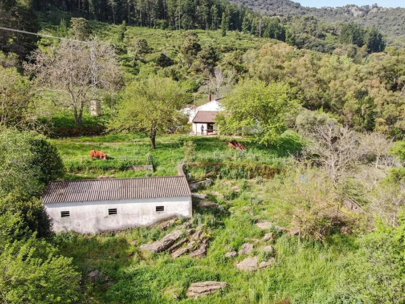 Charming Estate with Spectacular Views in a Natural Paradise – Just 5 Minutes from Gaucín